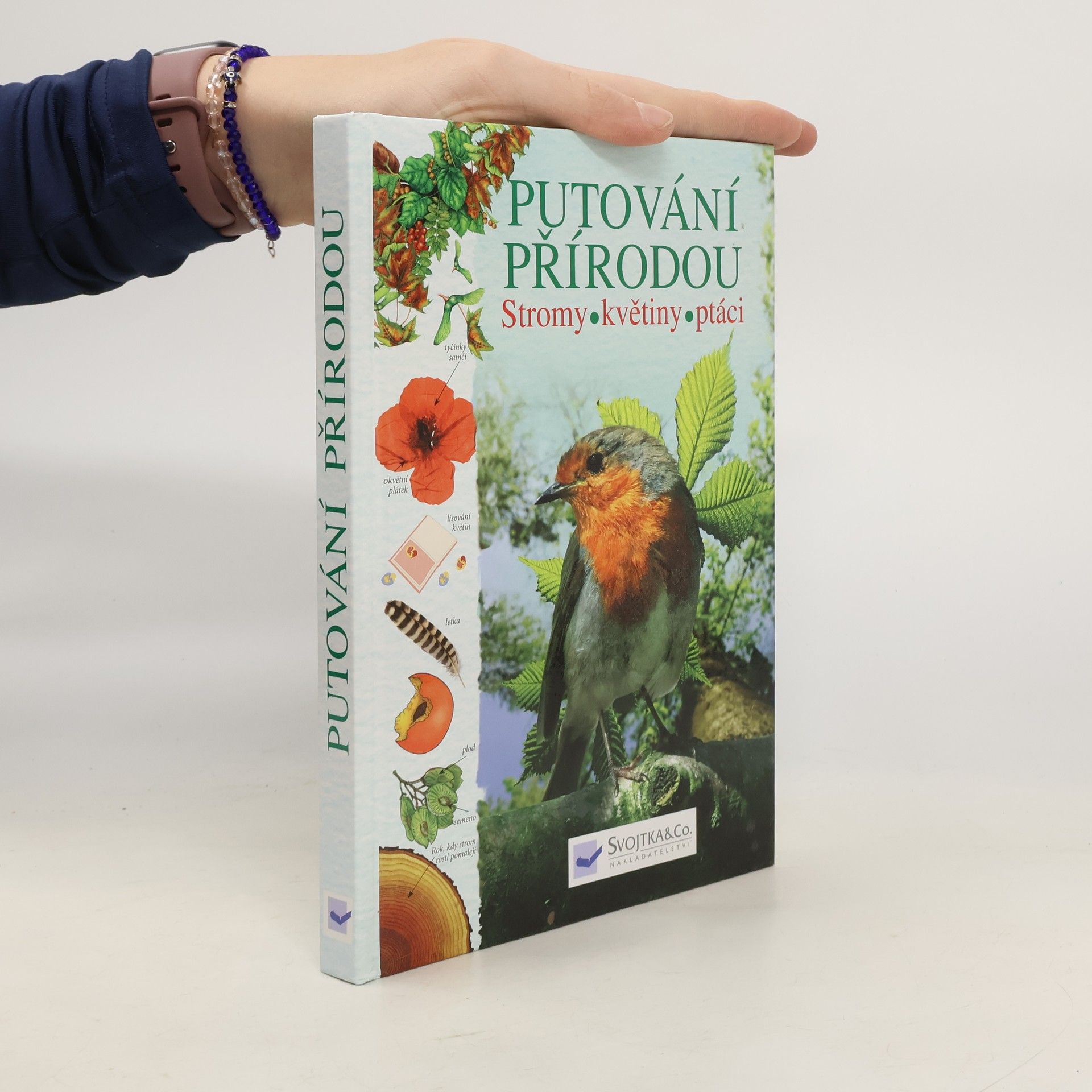 Autorenkollektiv Putování přírodou: Stromy, květiny, ptáci