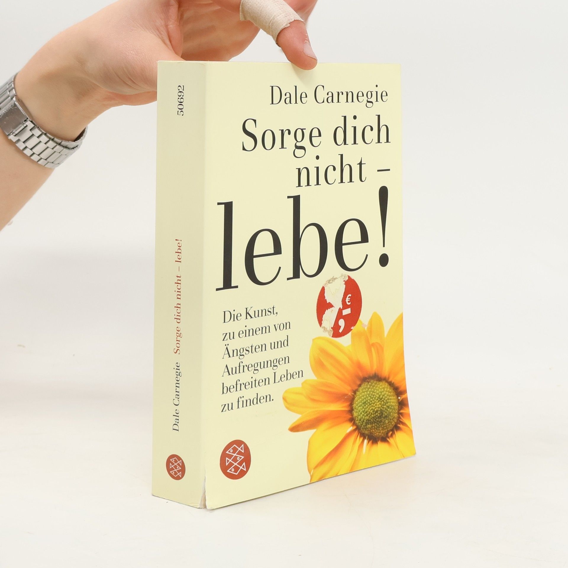 Dale Carnegie Sorge dich nicht - lebe!
