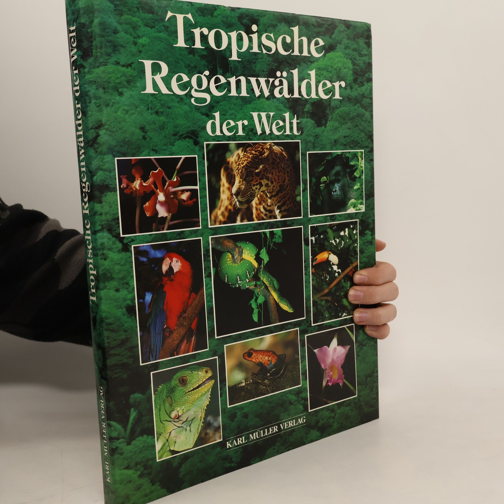 Autorenkollektiv Tropische Regenwälder der Welt