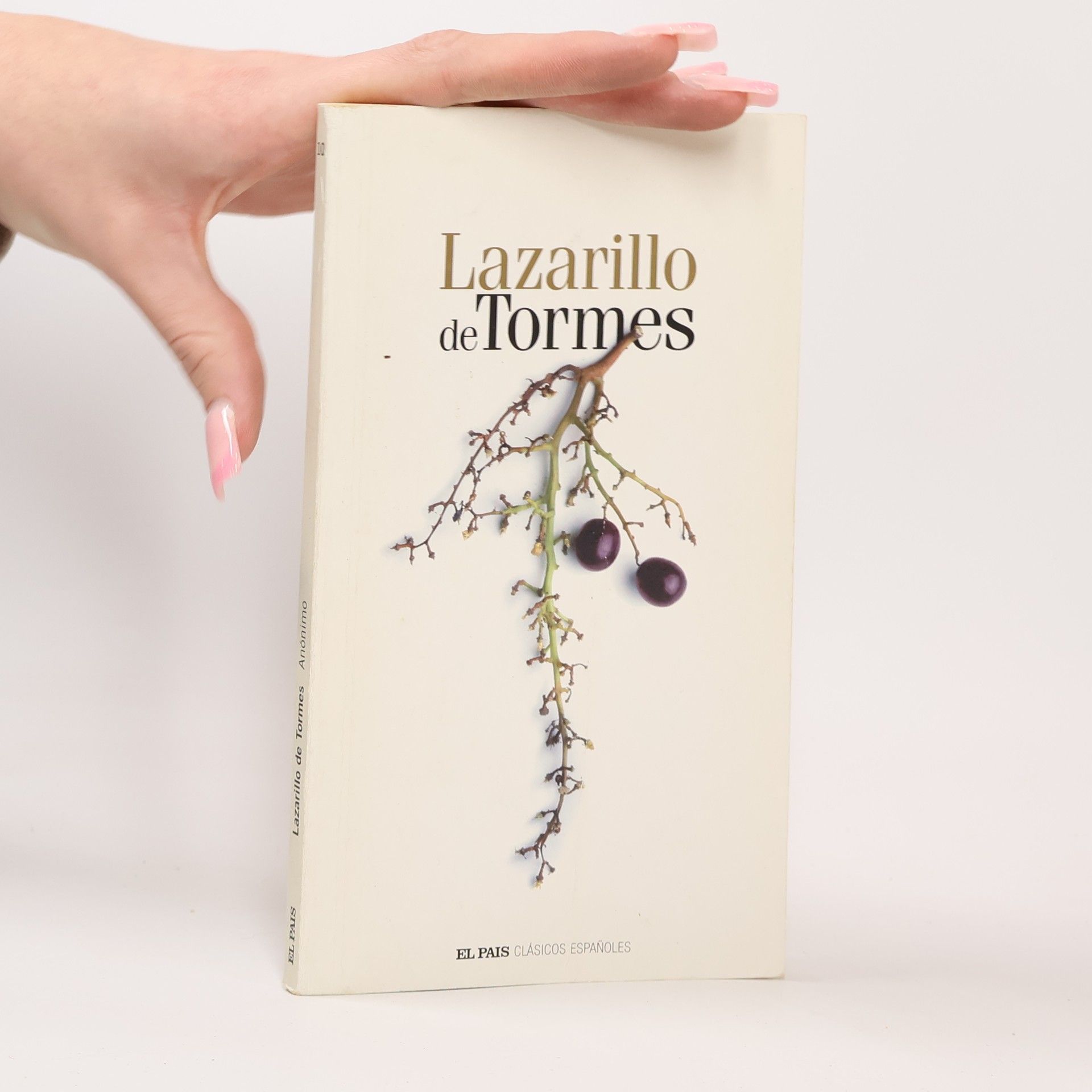Collectif d'auteurs Lazarillo de Tormes