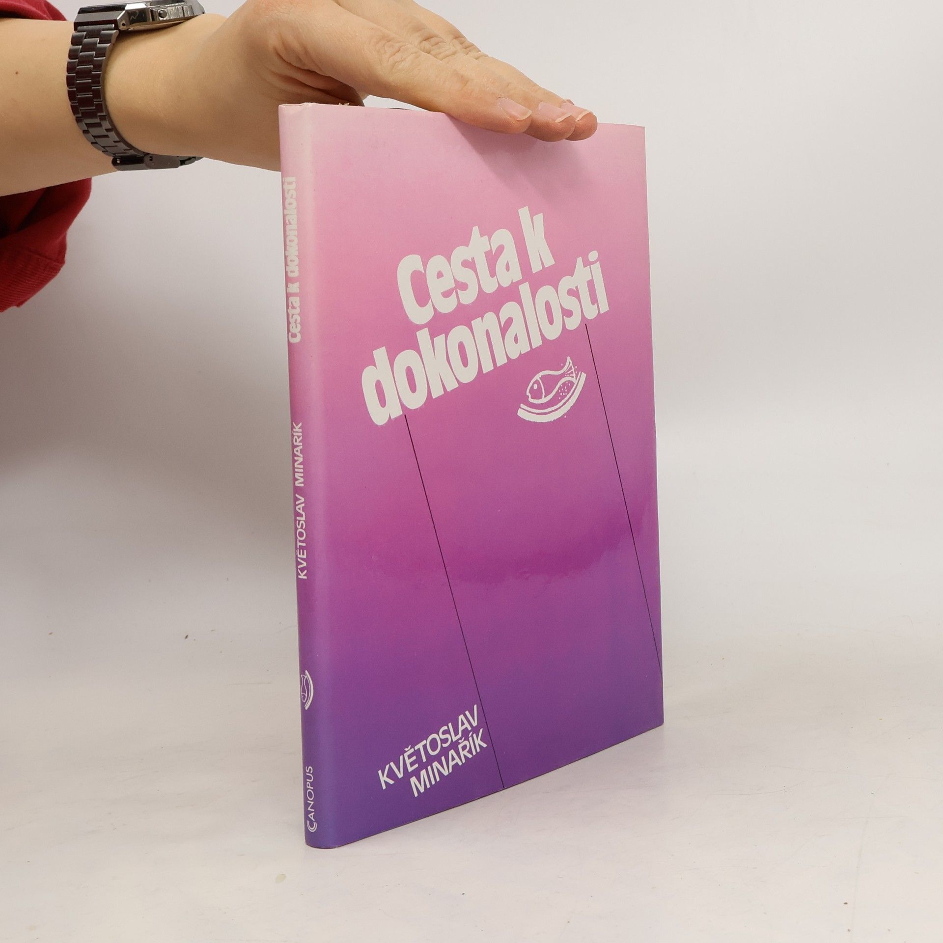 Květoslav Minařík Cesta k dokonalosti