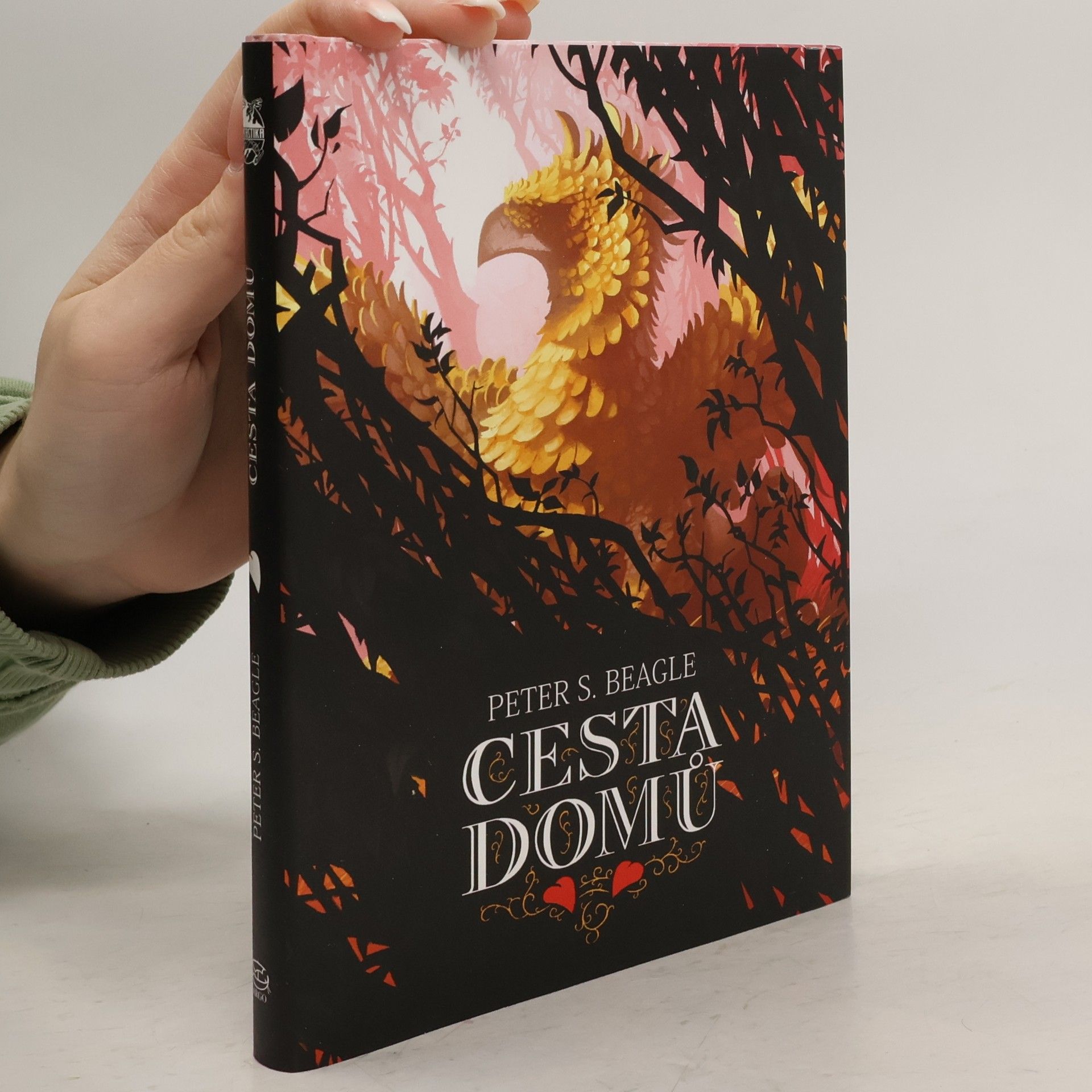 Michael Bronec Cesta domů. Dva příběhy ze světa Posledního jednorožce