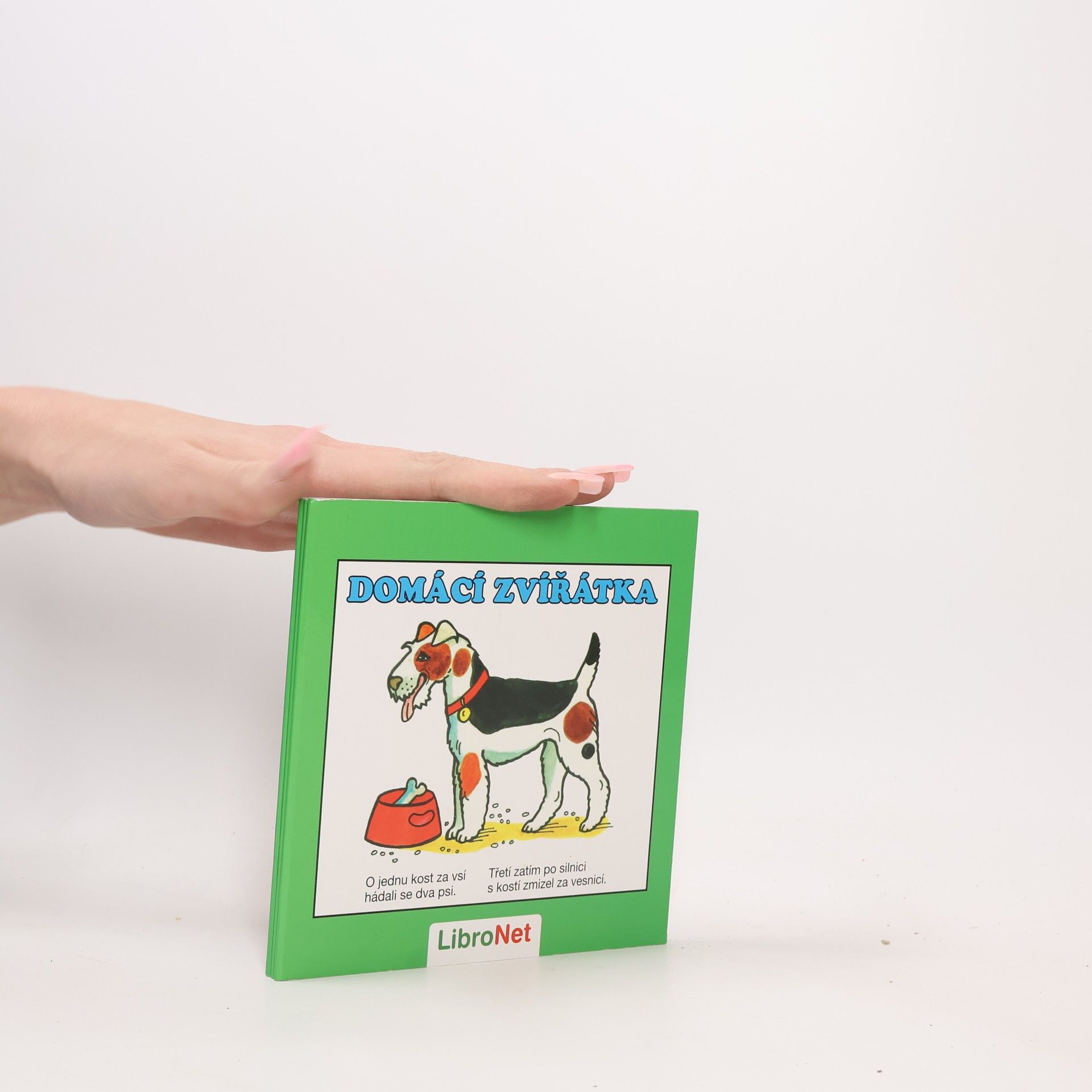 Domácí zvířátka