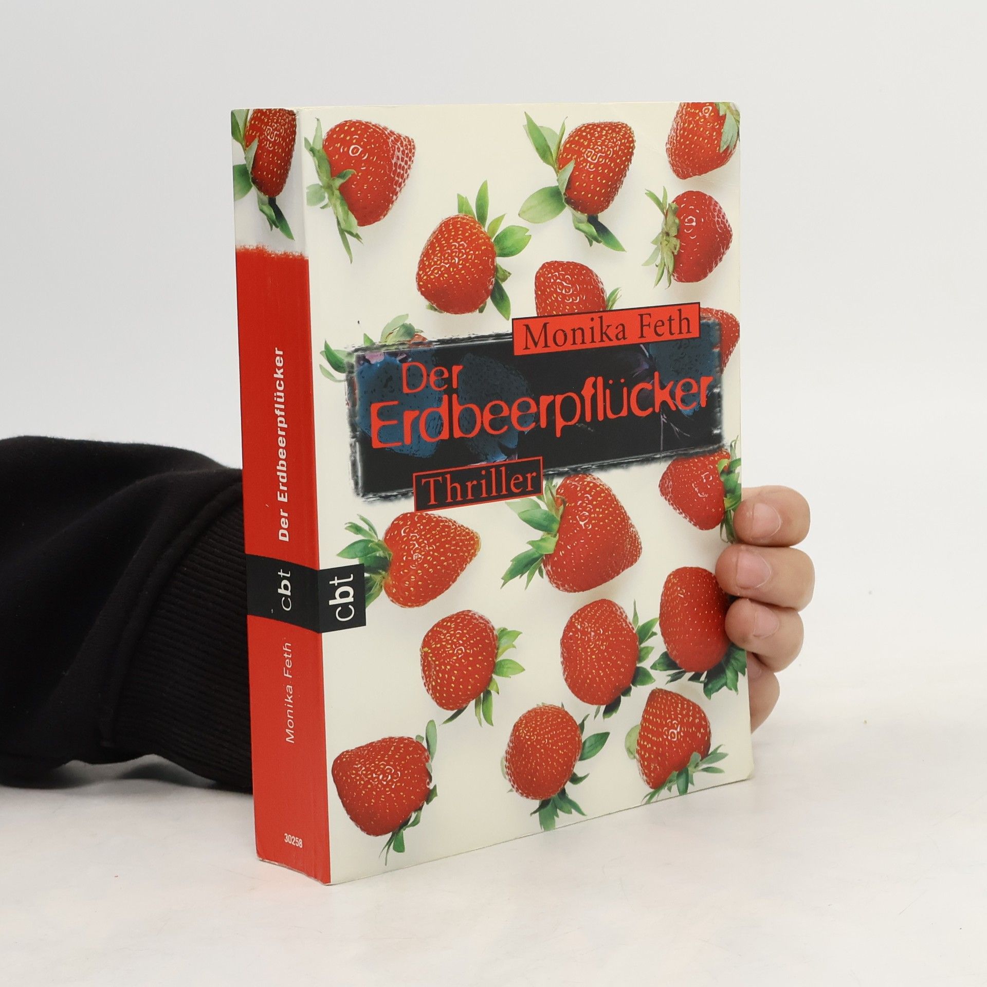 Monika Feth Der Erdbeerpflücker