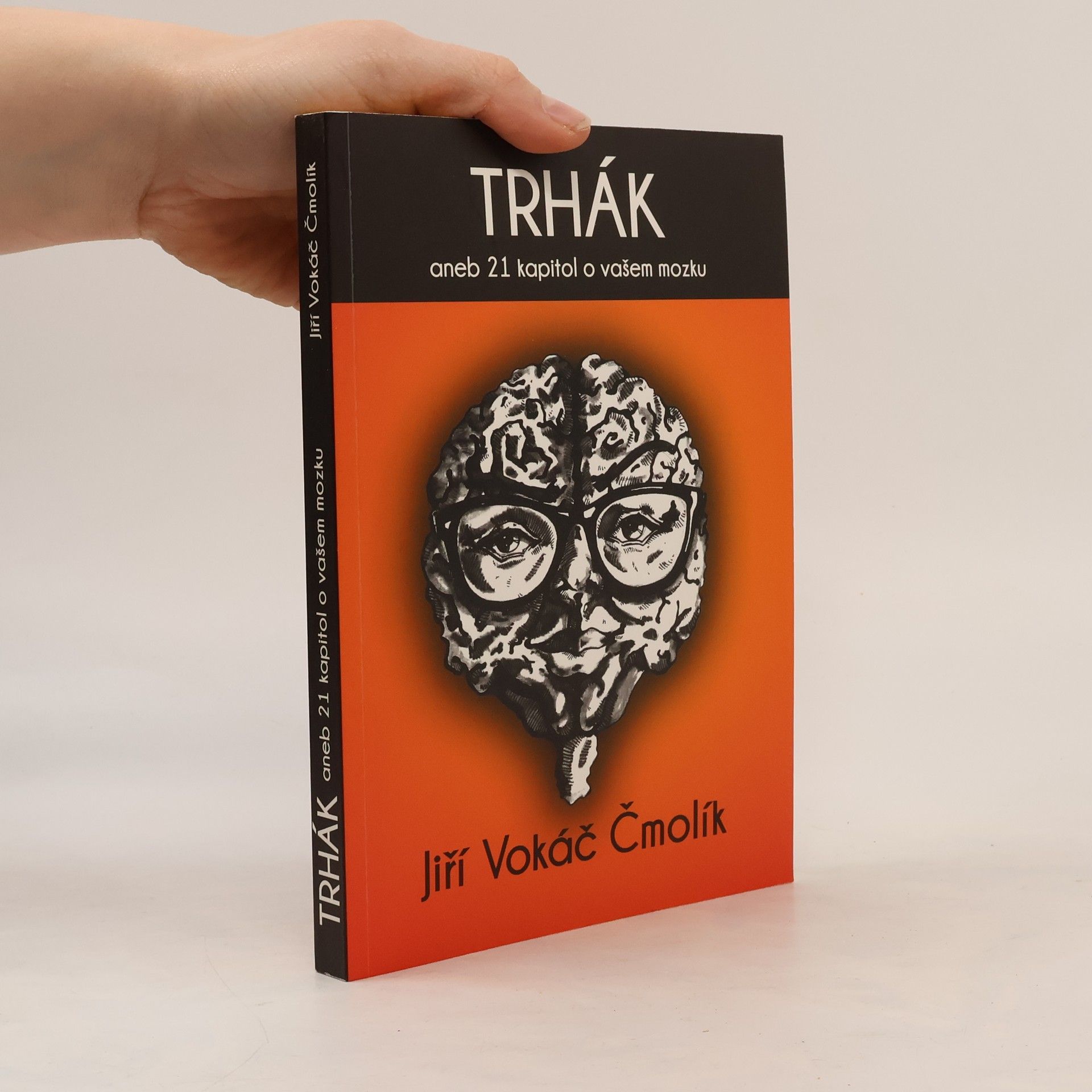 Trhák aneb 21 kapitol o vašem mozku