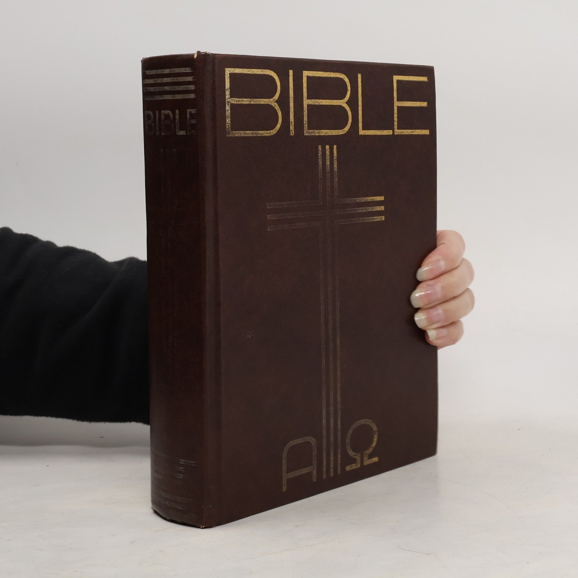 Kolektiv autorů Bible. Písmo svaté Starého a Nového Zákona. Ekumenický překlad