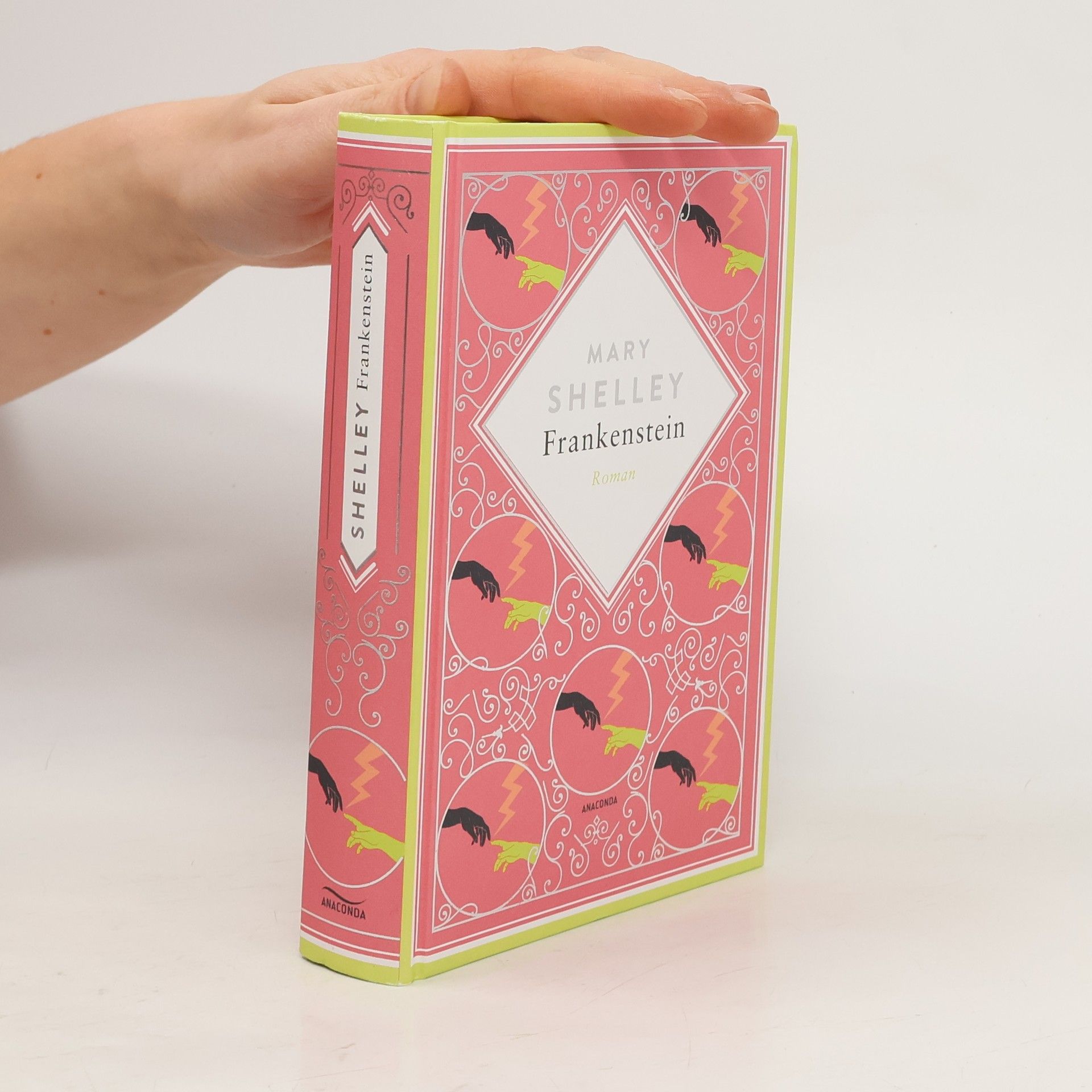 Mary Shelley Frankenstein oder Der neue Prometheus