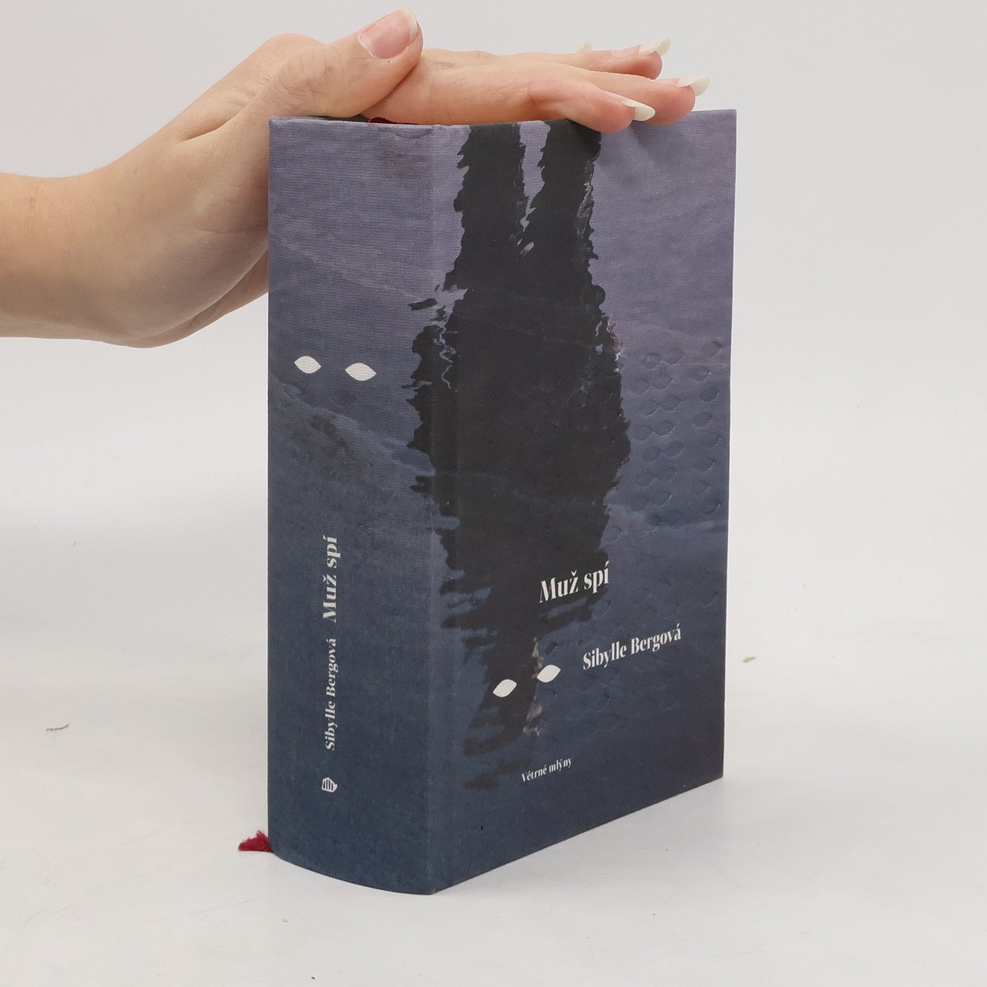 Sibylle Berg Muž spí