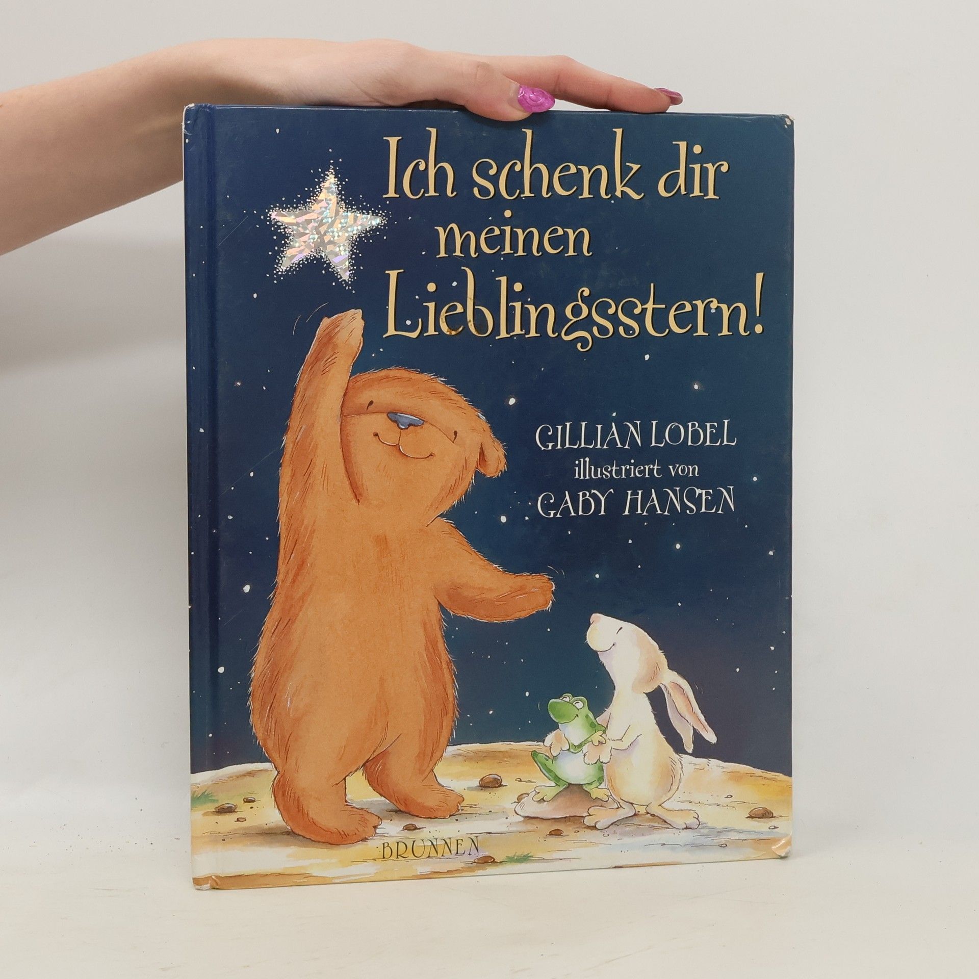 Gillian Lobel Ich schenk dir meinen Lieblingsstern!