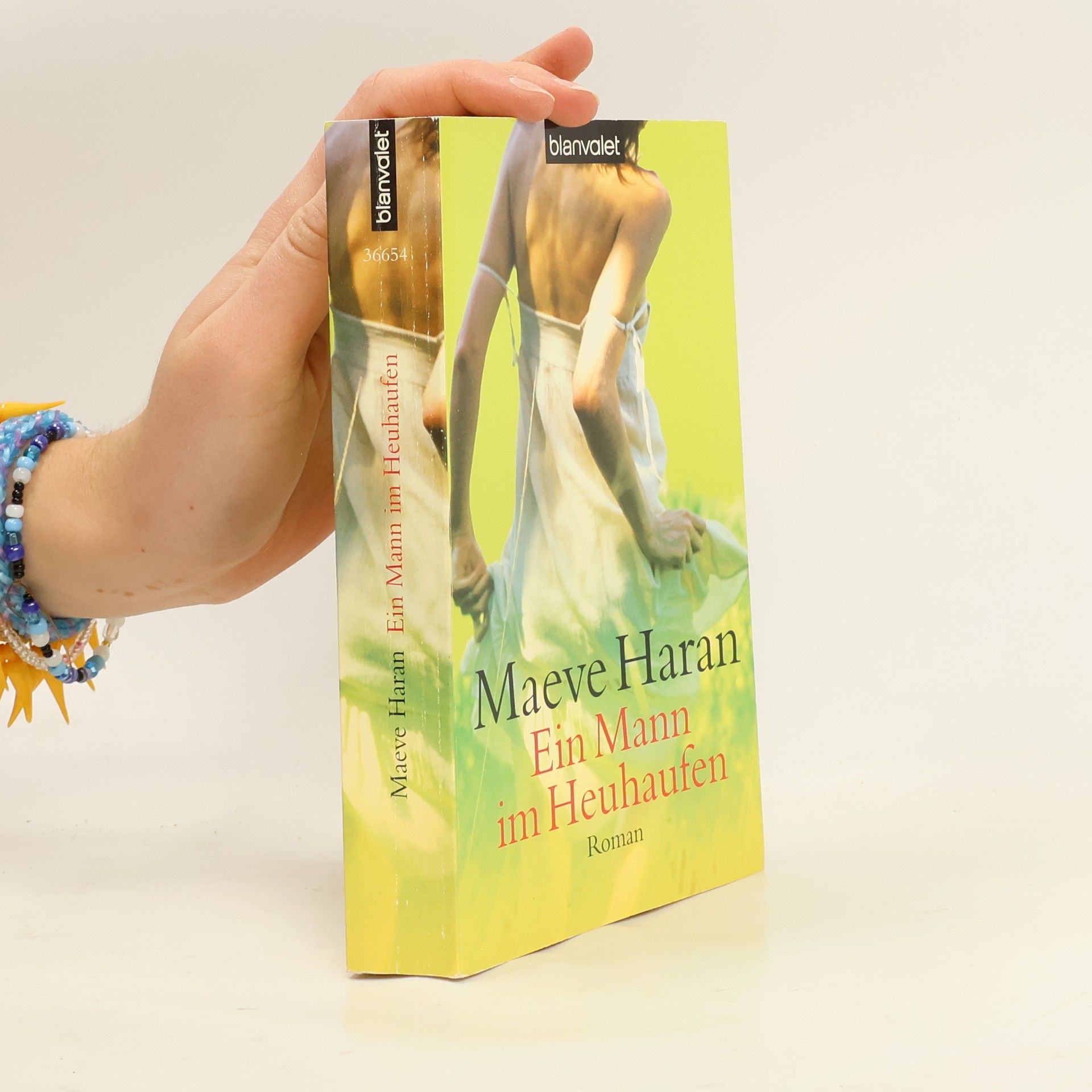 Maeve Haran Ein Mann im Heuhaufen