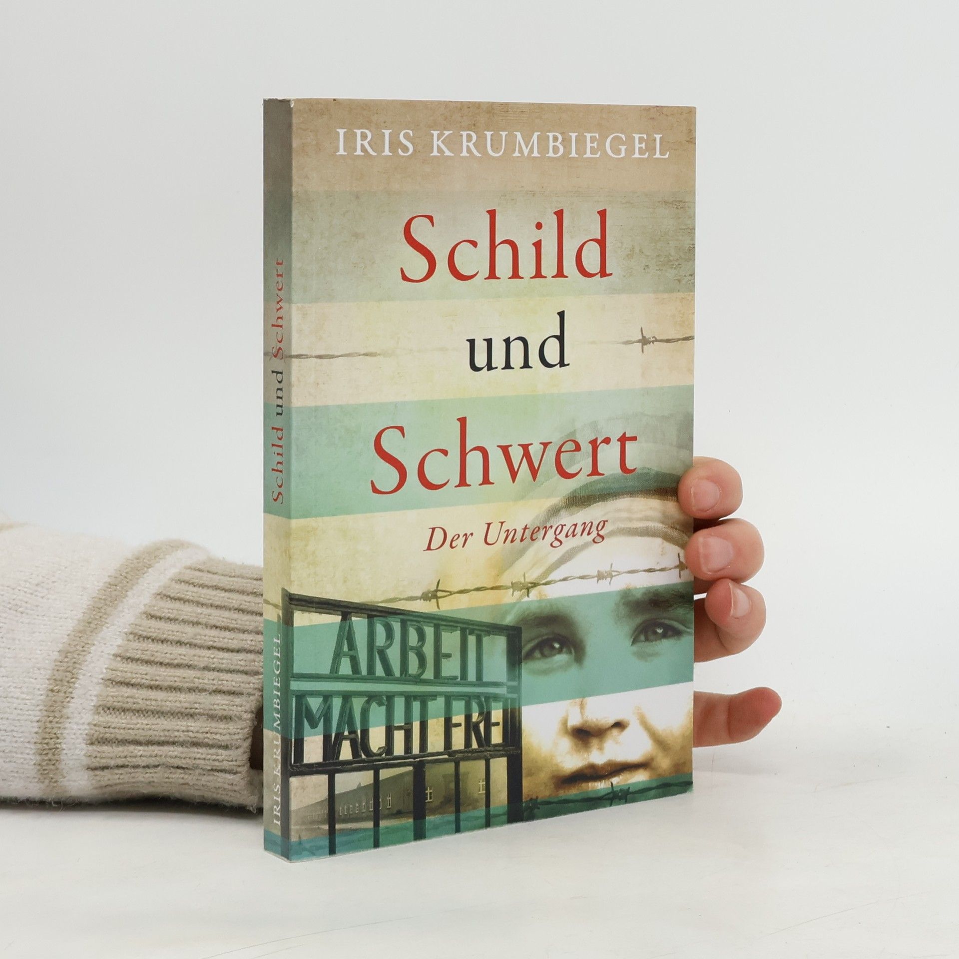 Iris Krumbiegel Schild und Schwert - 1: Der Untergang