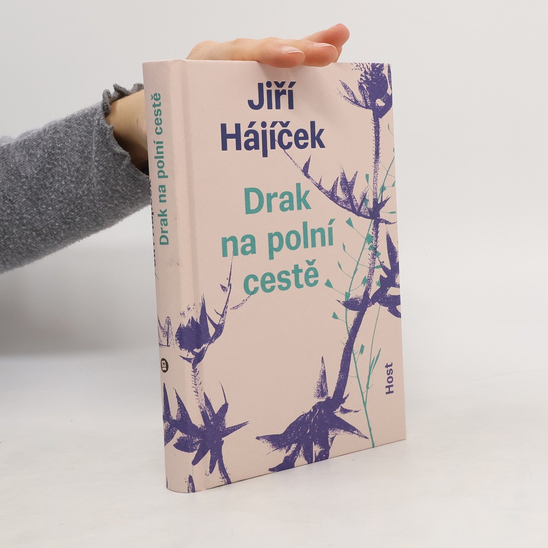 Drak na polní cestě