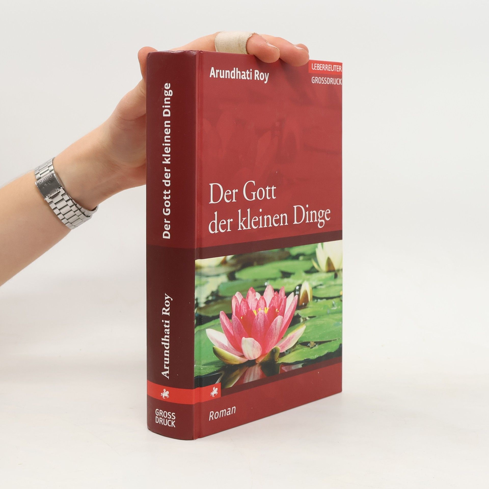 Arundhati Roy Der Gott der kleinen Dinge - Grossdruck