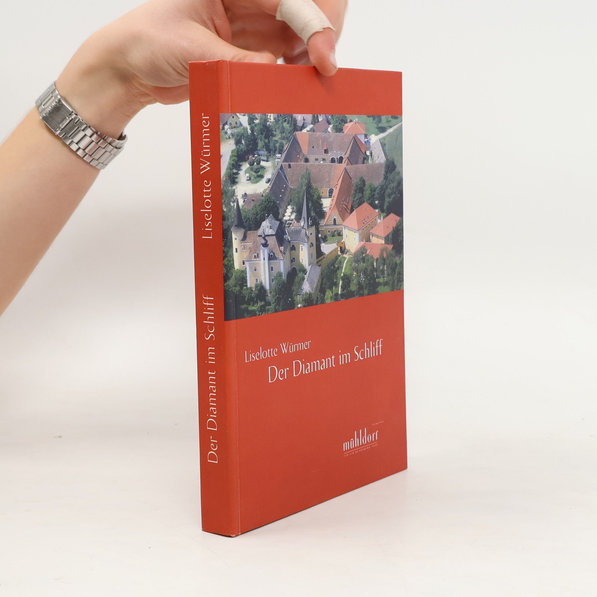 Liselotte Würmer Der Diamant im Schliff
