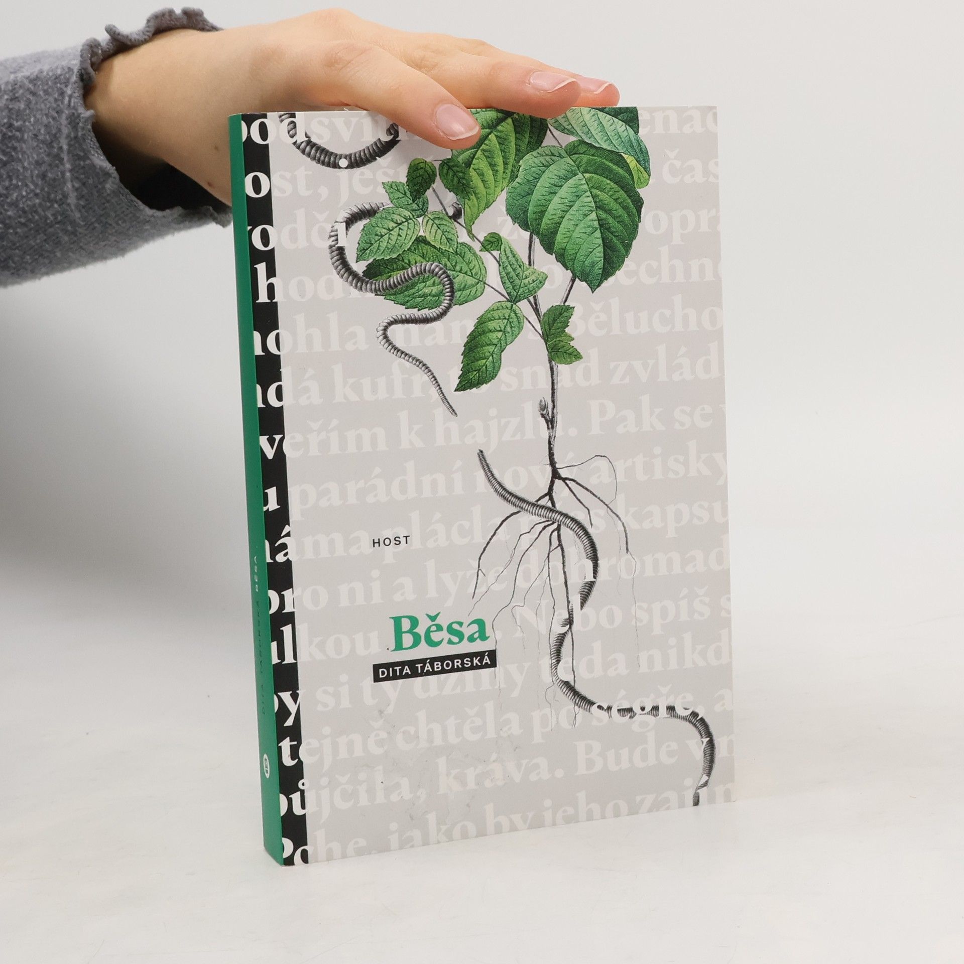 Dita Táborská Běsa