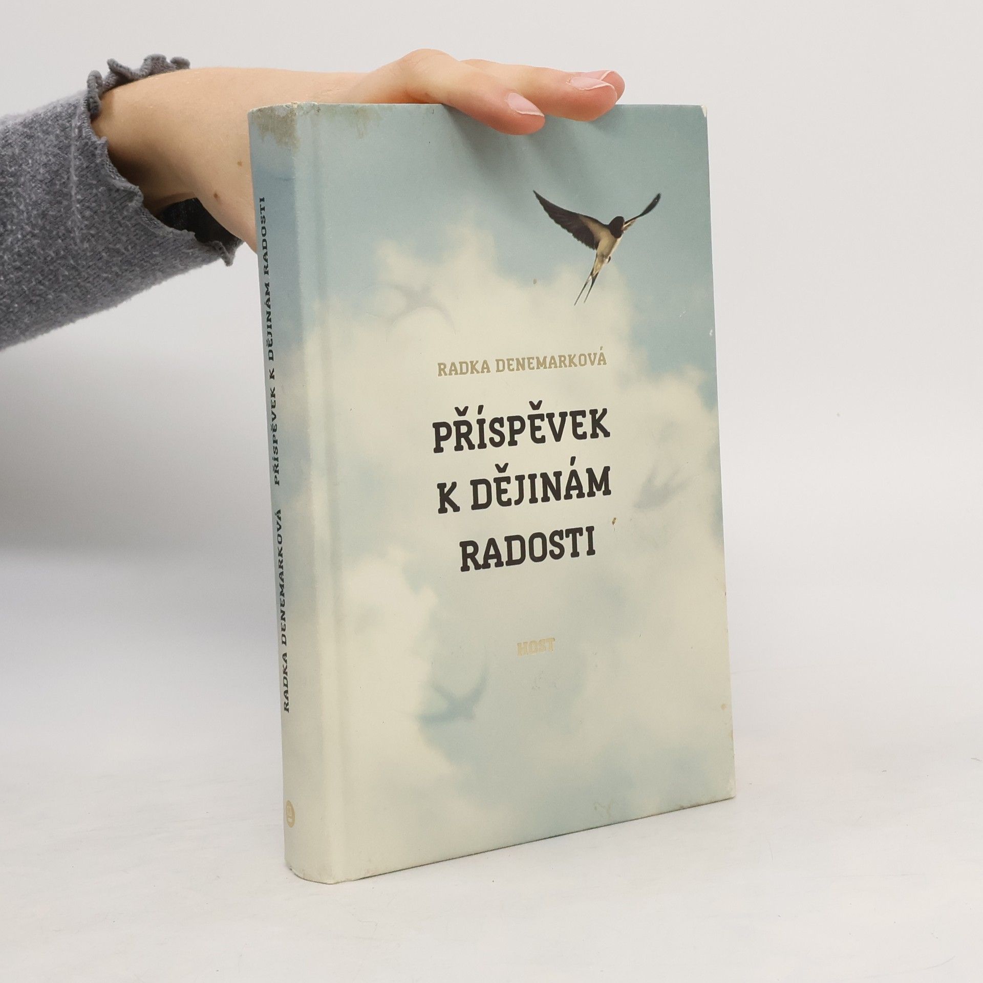 Radka Denemarková Příspěvek k dějinám radosti