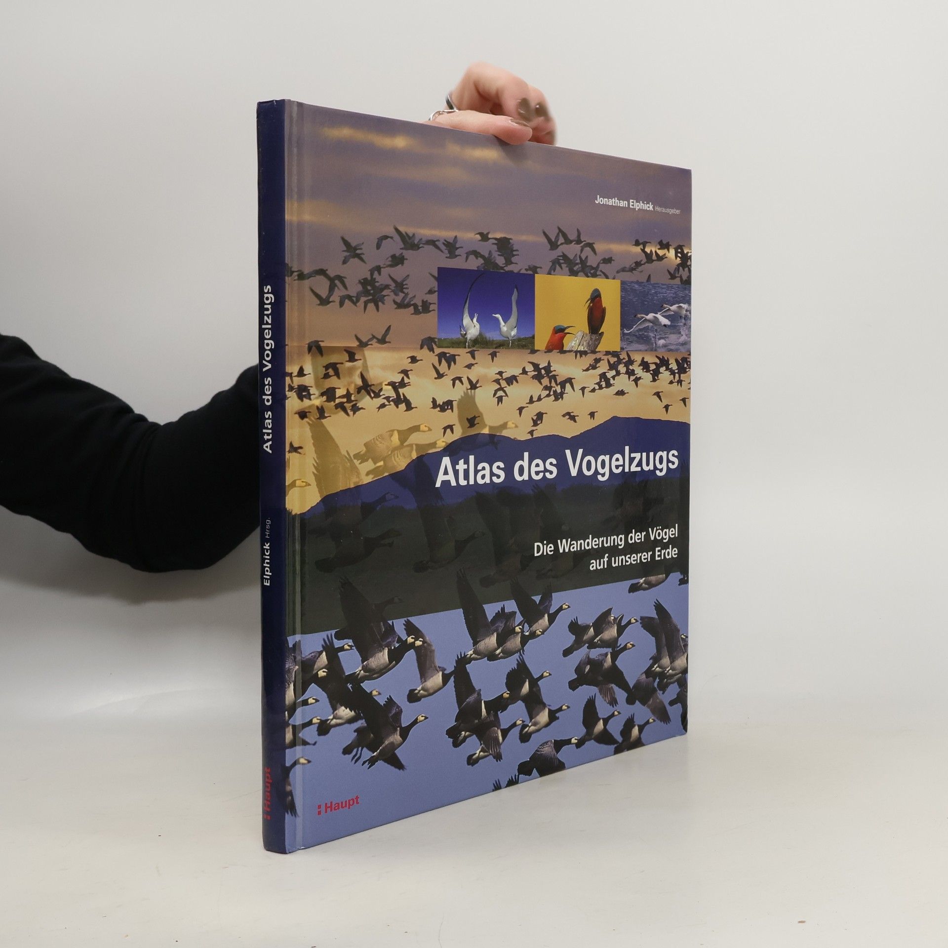 Atlas des Vogelzugs
