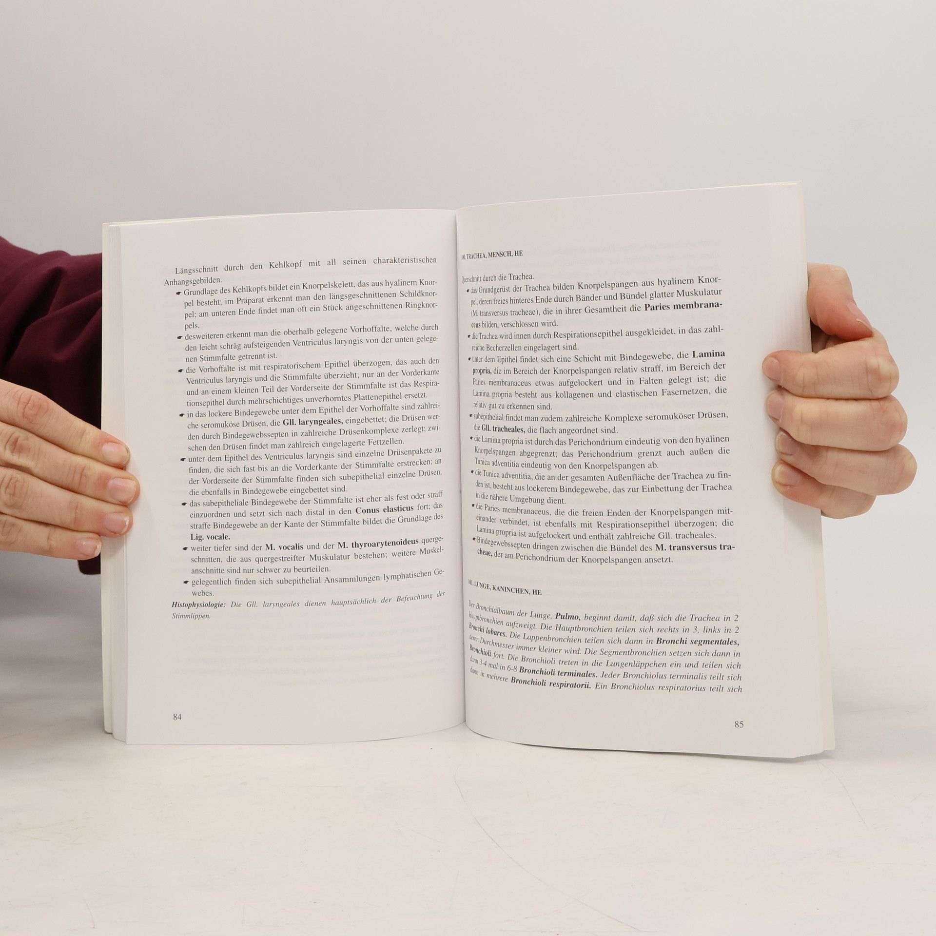 Kay Hertel Histologie und Zytologie