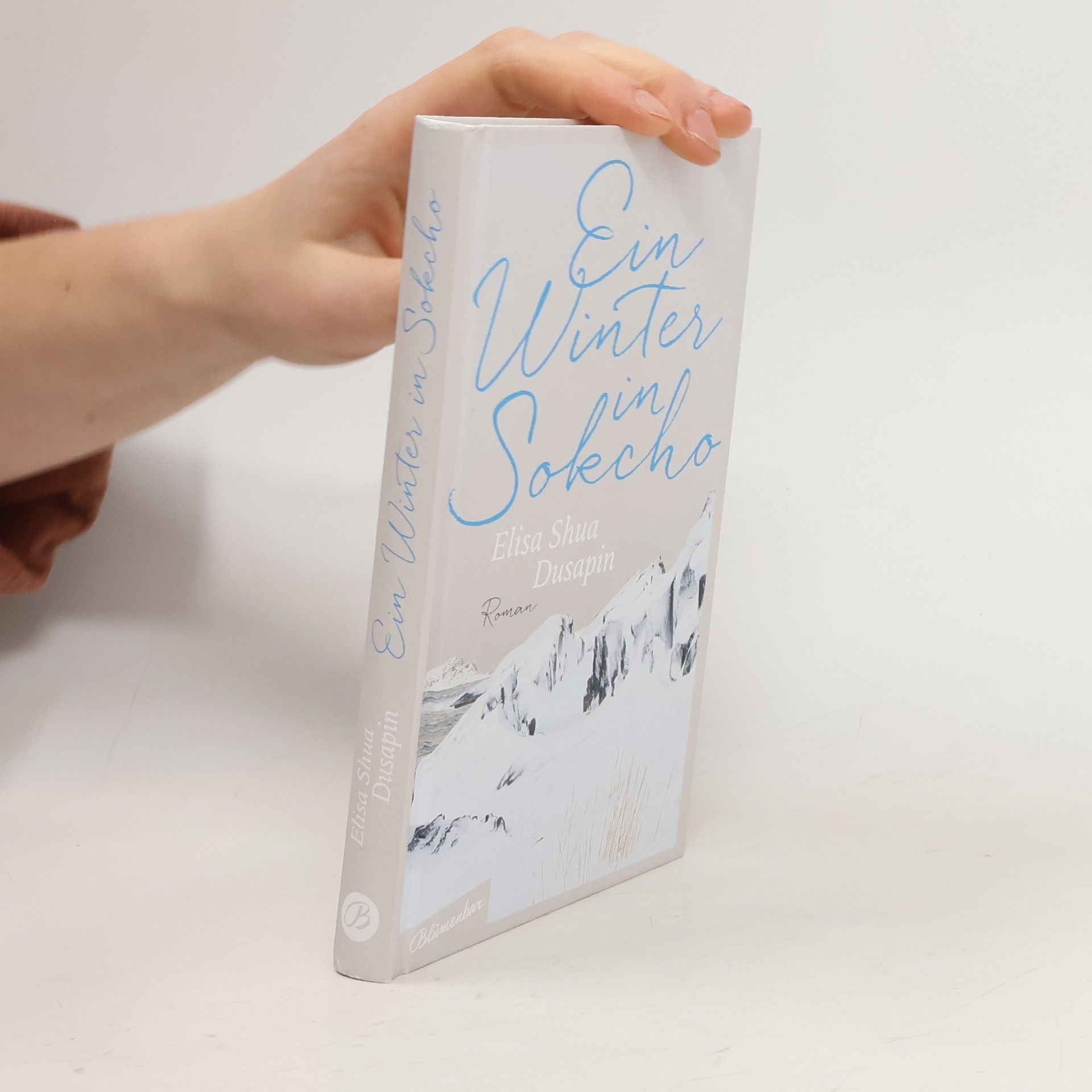 Elisa Shua Dusapin Ein Winter in Sokcho