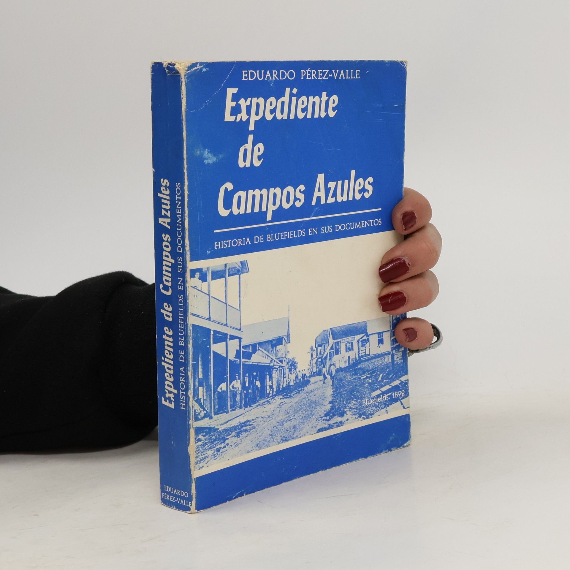 Eduardo Pérez Valle Expediente de campos azules. Historia de Bluefields en sus documentos