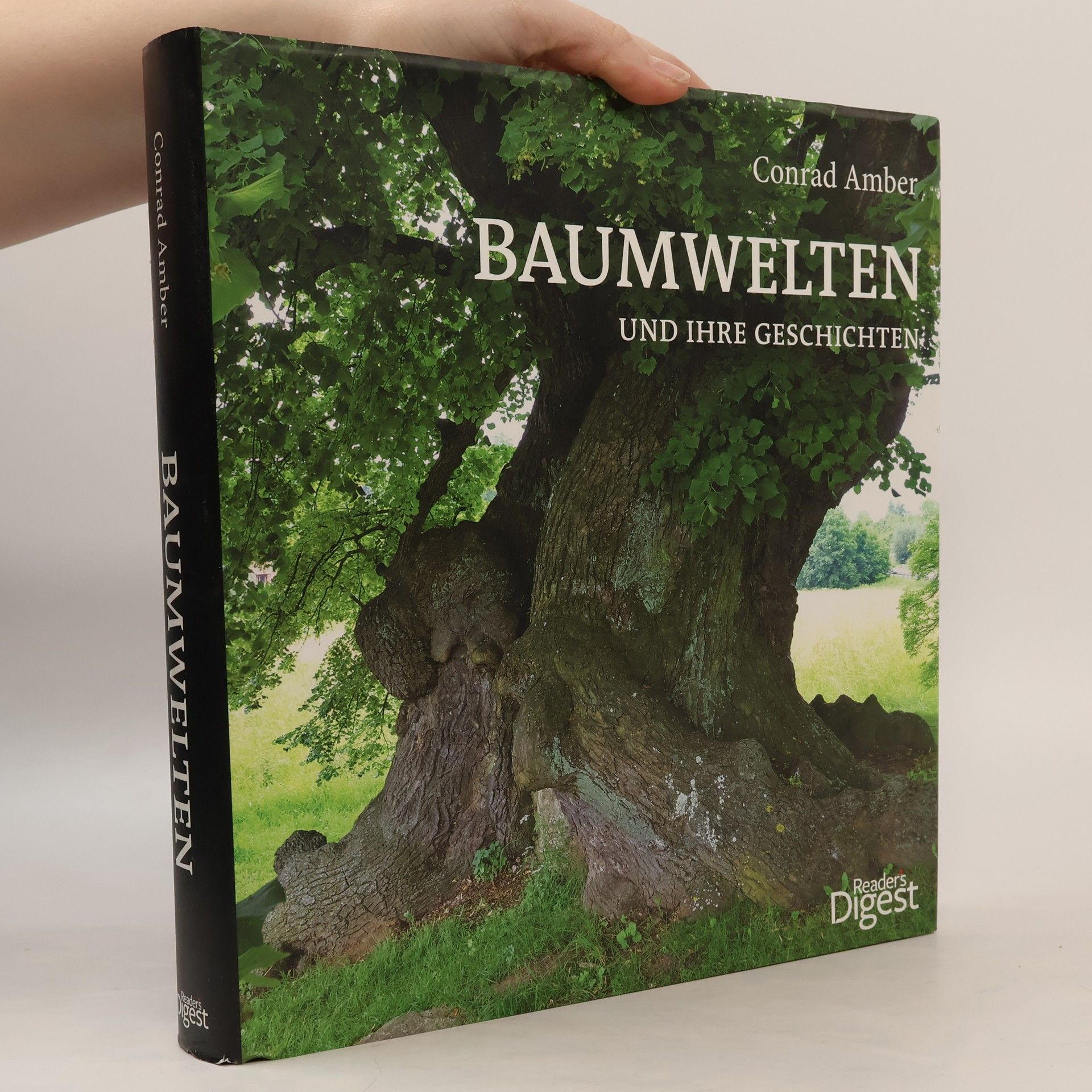 Baumwelten und ihre Geschichten