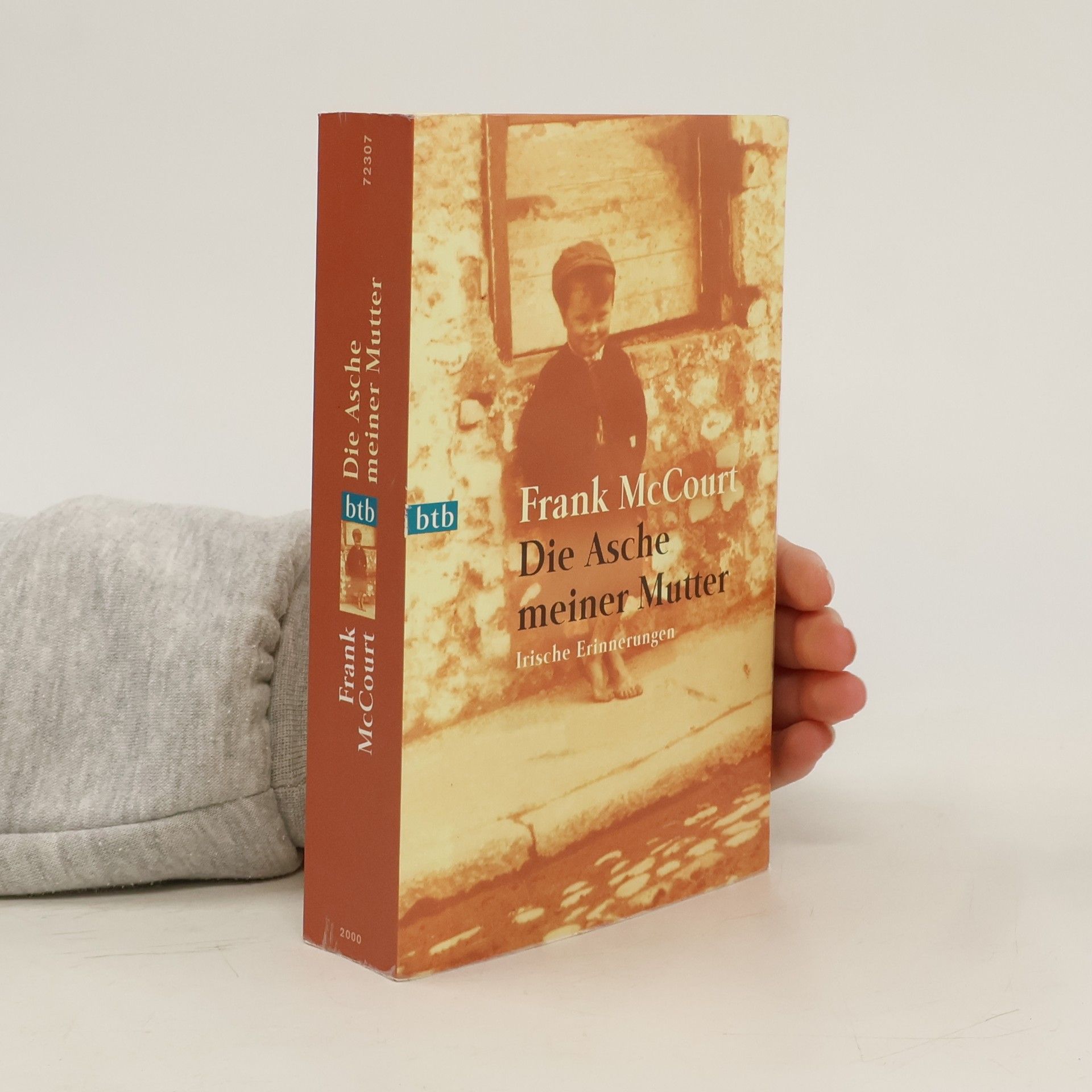 Frank McCourt Die Asche meiner Mutter