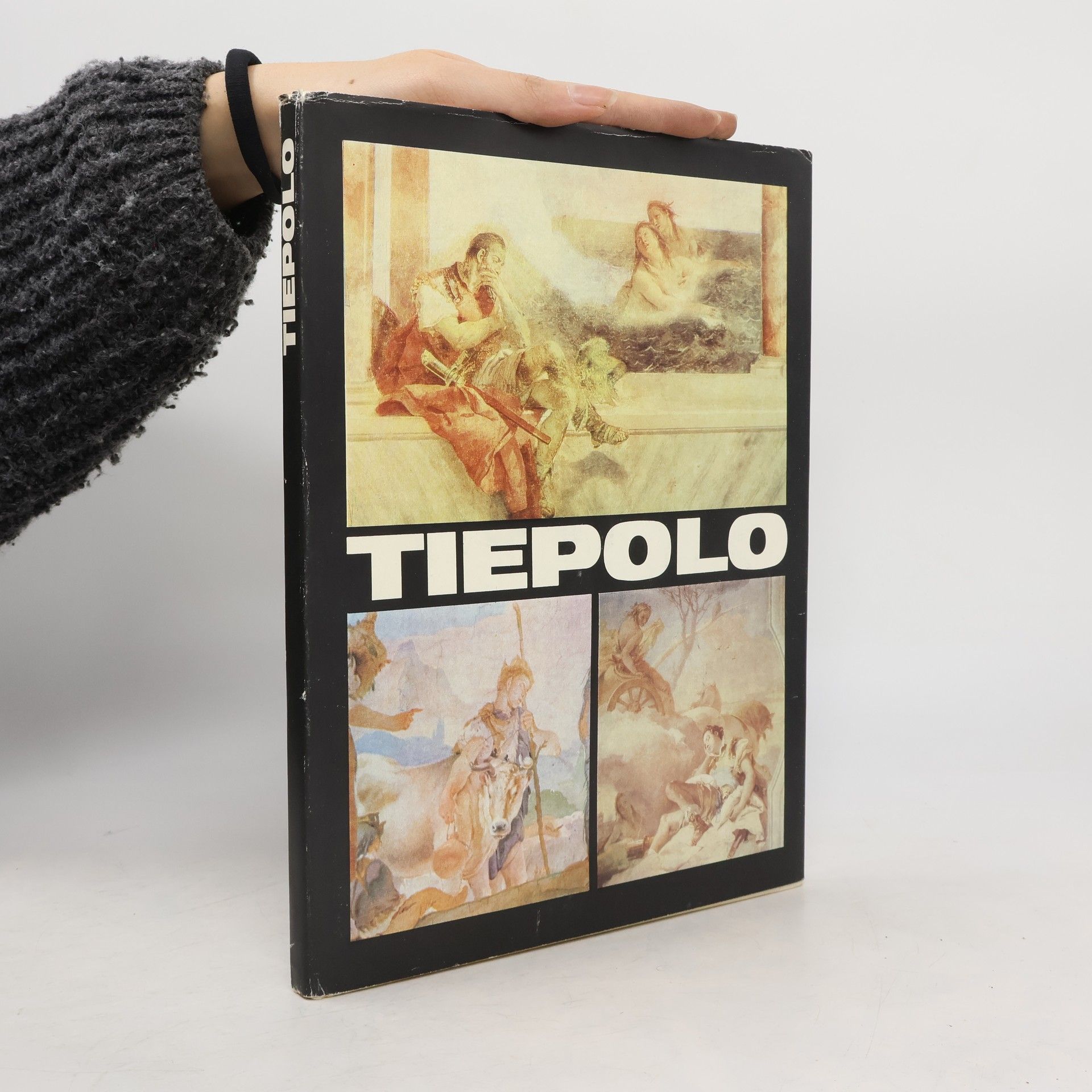 Kolektiv autorů Tiepolo