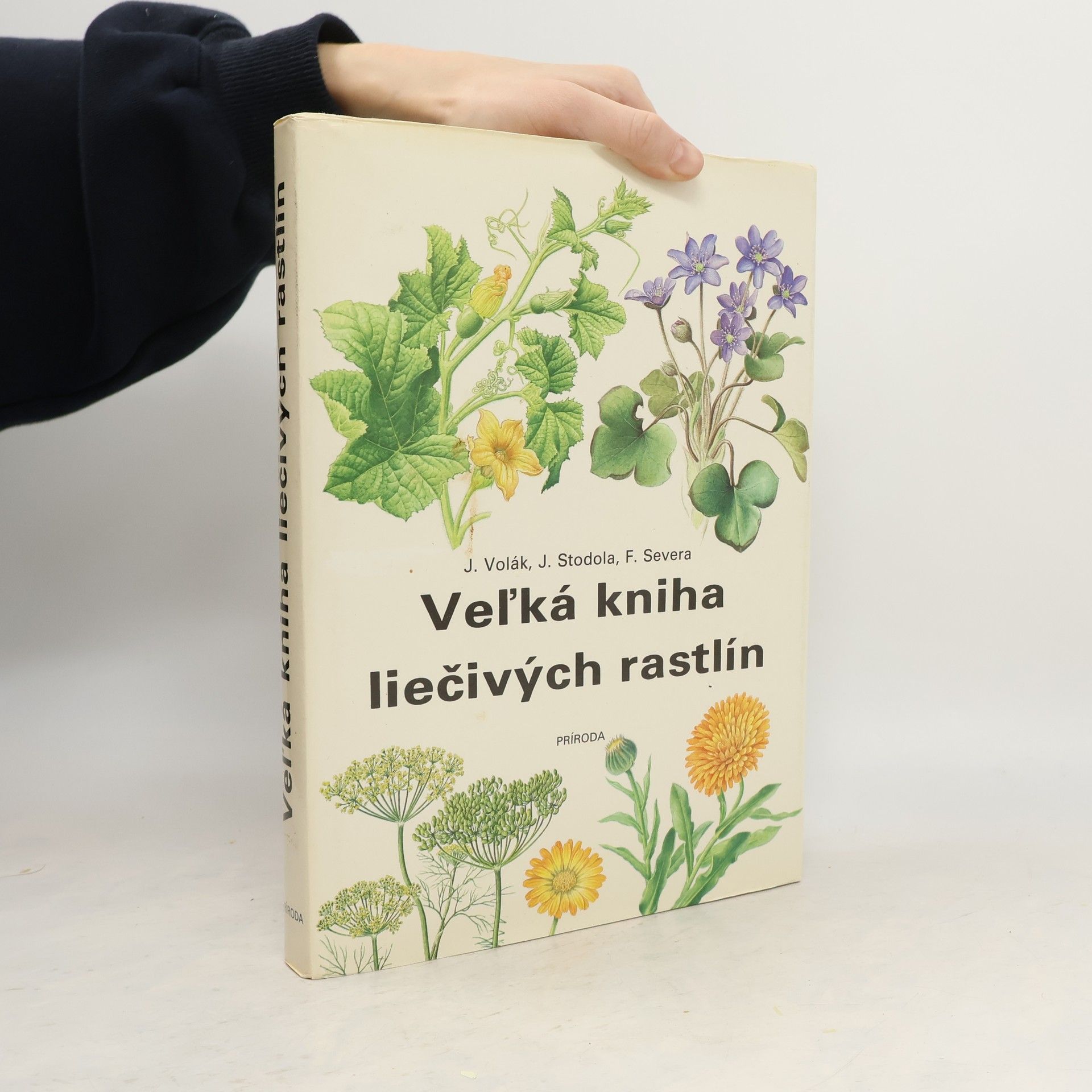 Veľká kniha liečivých rastlín