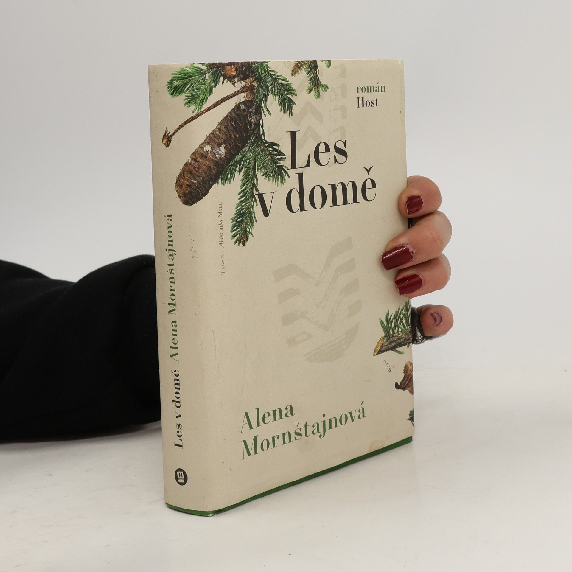 Alena Mornštajnová Les v domě