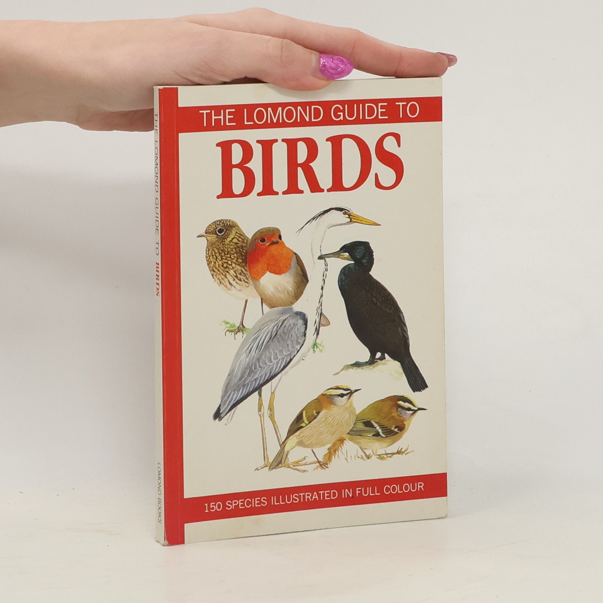 Collectif d'auteurs Lomond Guide to Birds