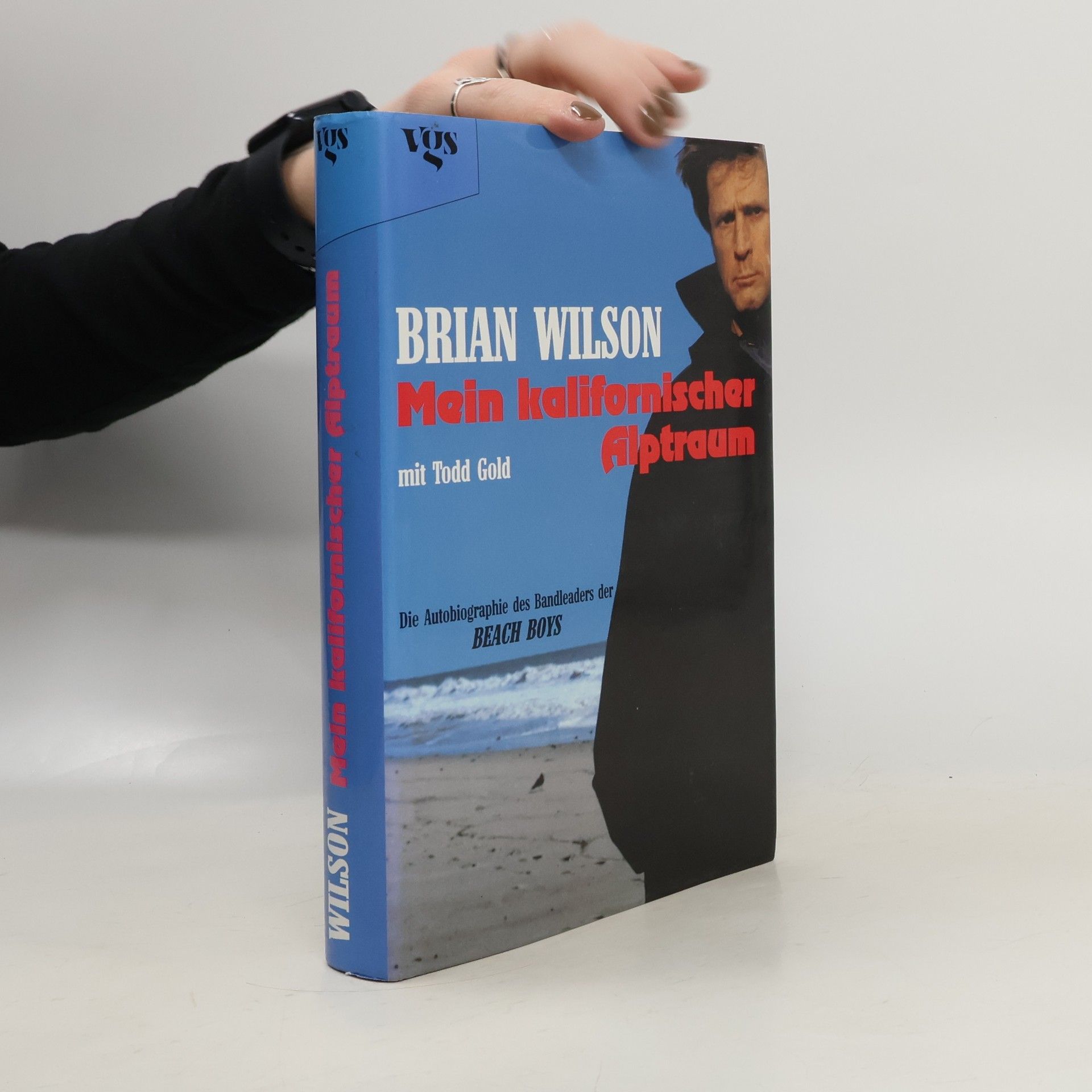 Brian Wilson Mein kalifornischer Alptraum