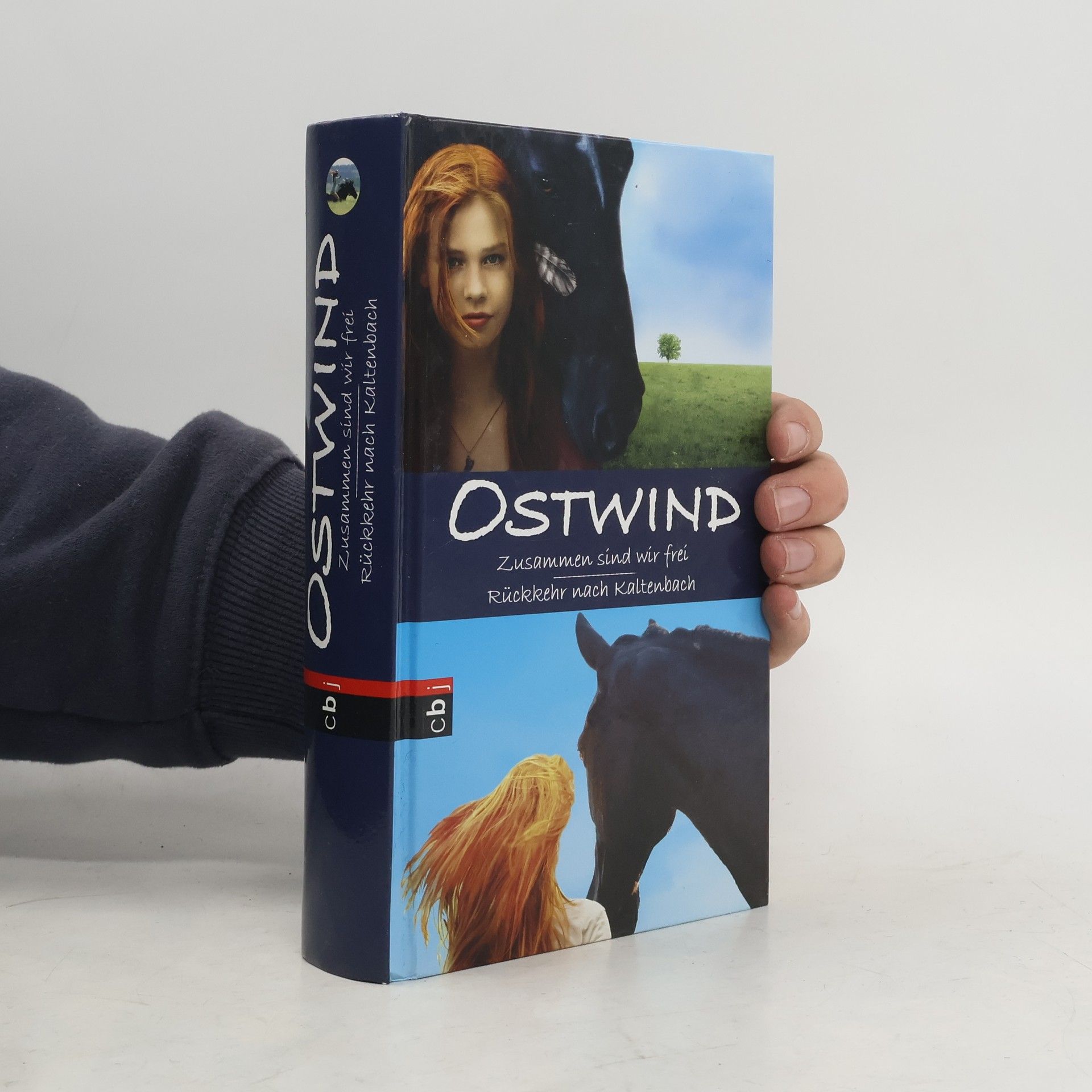 Ostwind