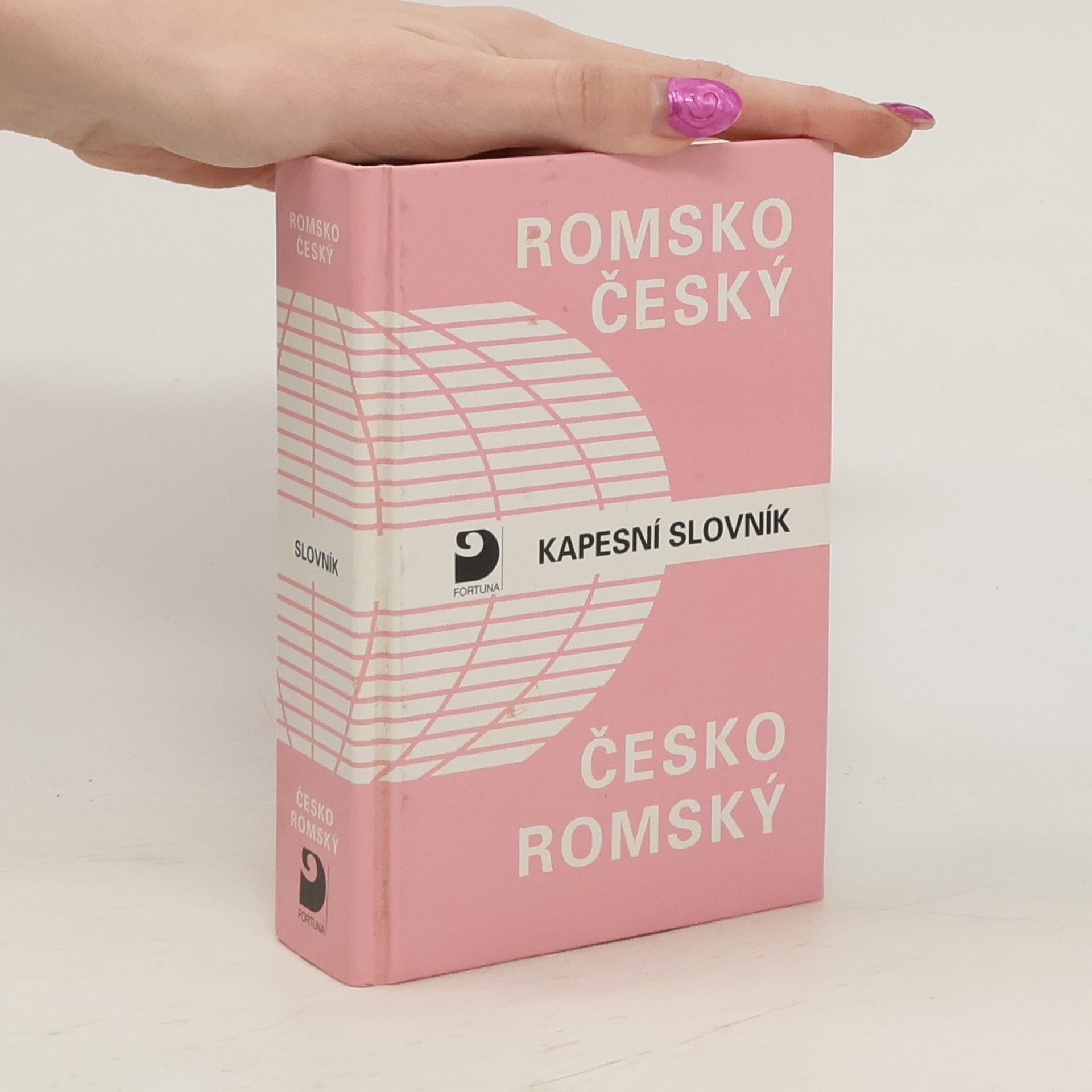 Milena Hübschmannová Romsko-český a česko-romský kapesní slovník