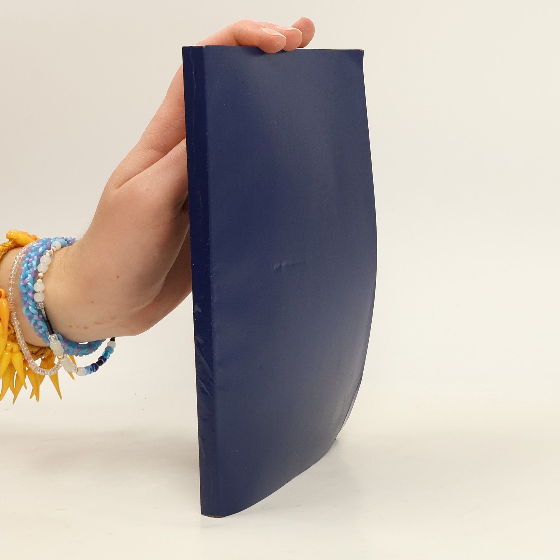 Auteurscollectief Nový Zákon Pána a Spasitele našeho Ježíše Krista. Text kralický z roku 1613 podlé původního textu opravený