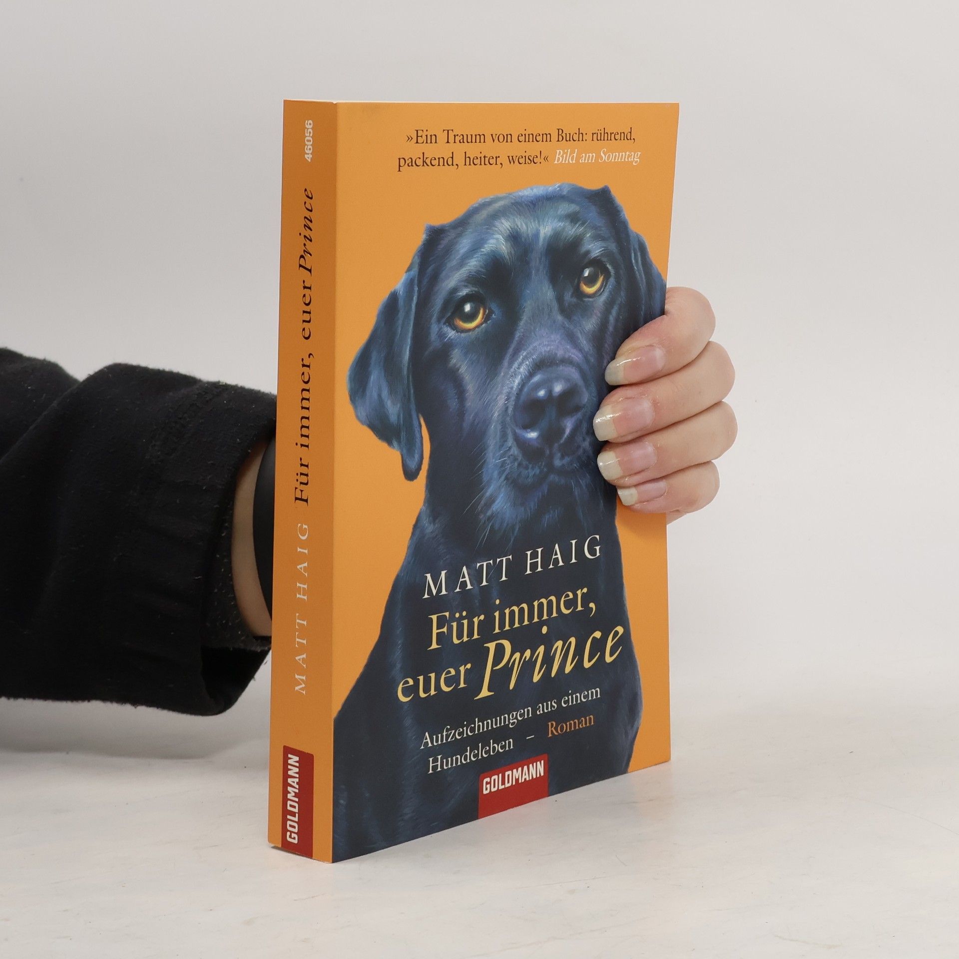 Matt Haig Für immer, euer Prince