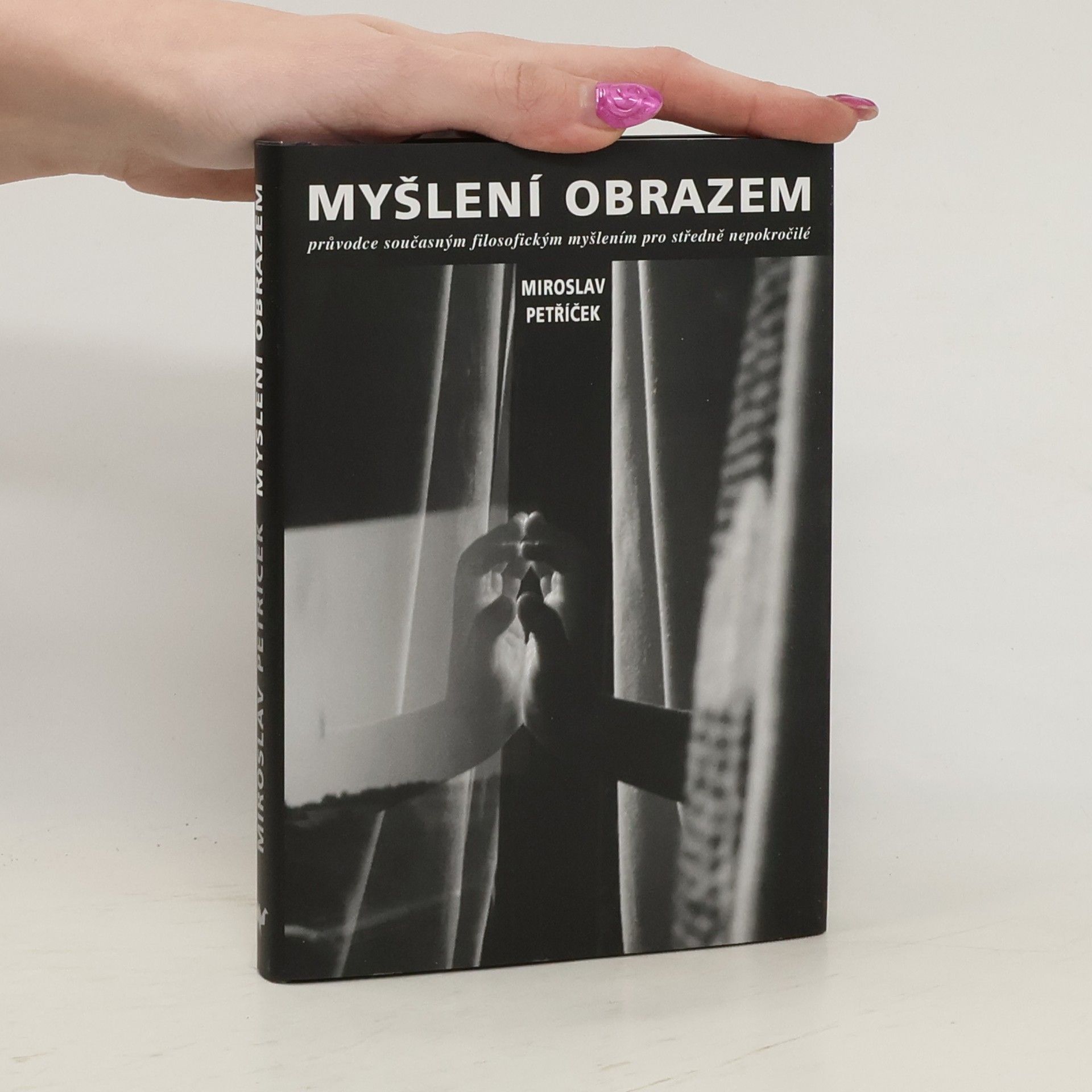 Myšlení obrazem: Průvodce současným filosofickým myšlením pro středně nepokročilé