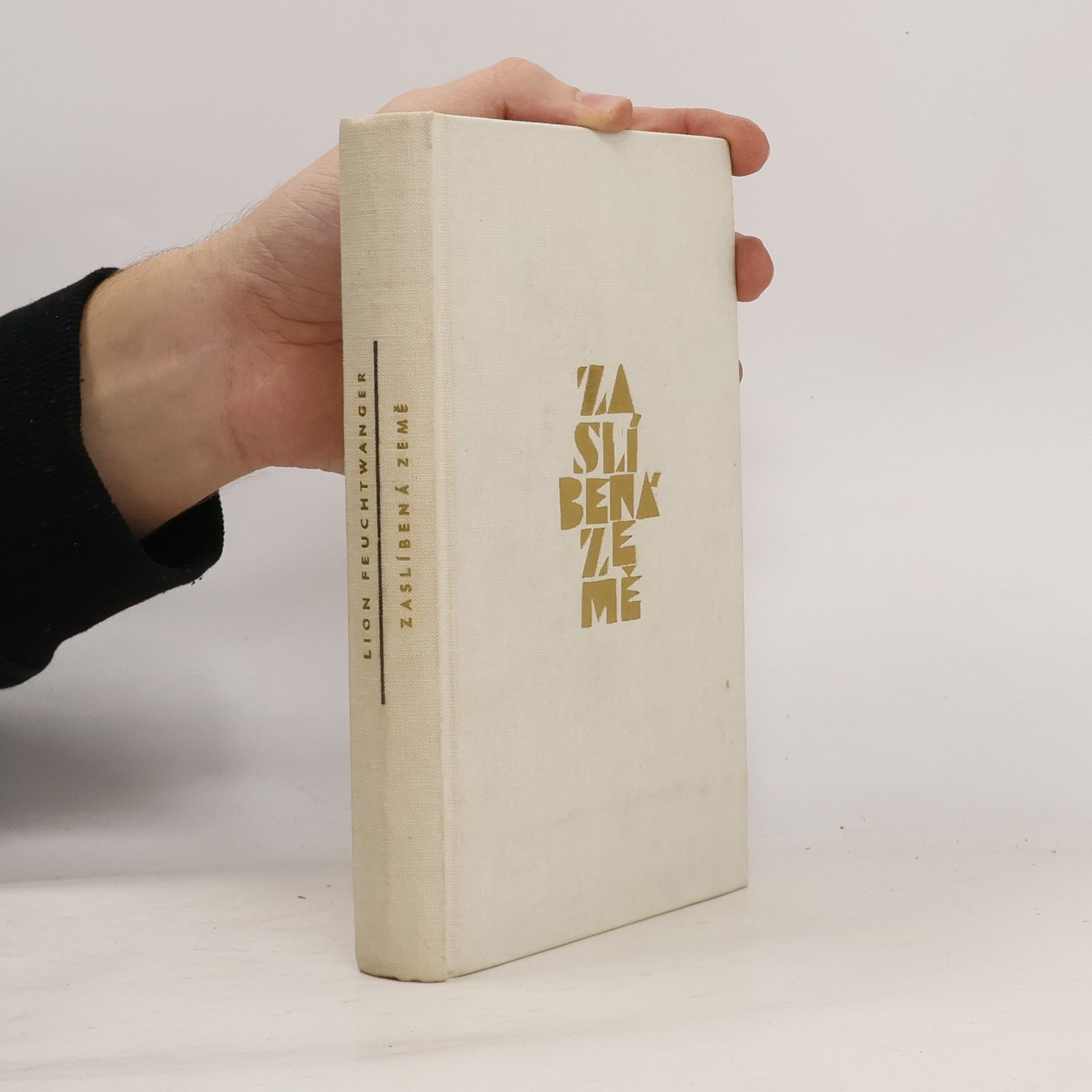 Lion Feuchtwanger Zaslíbená země