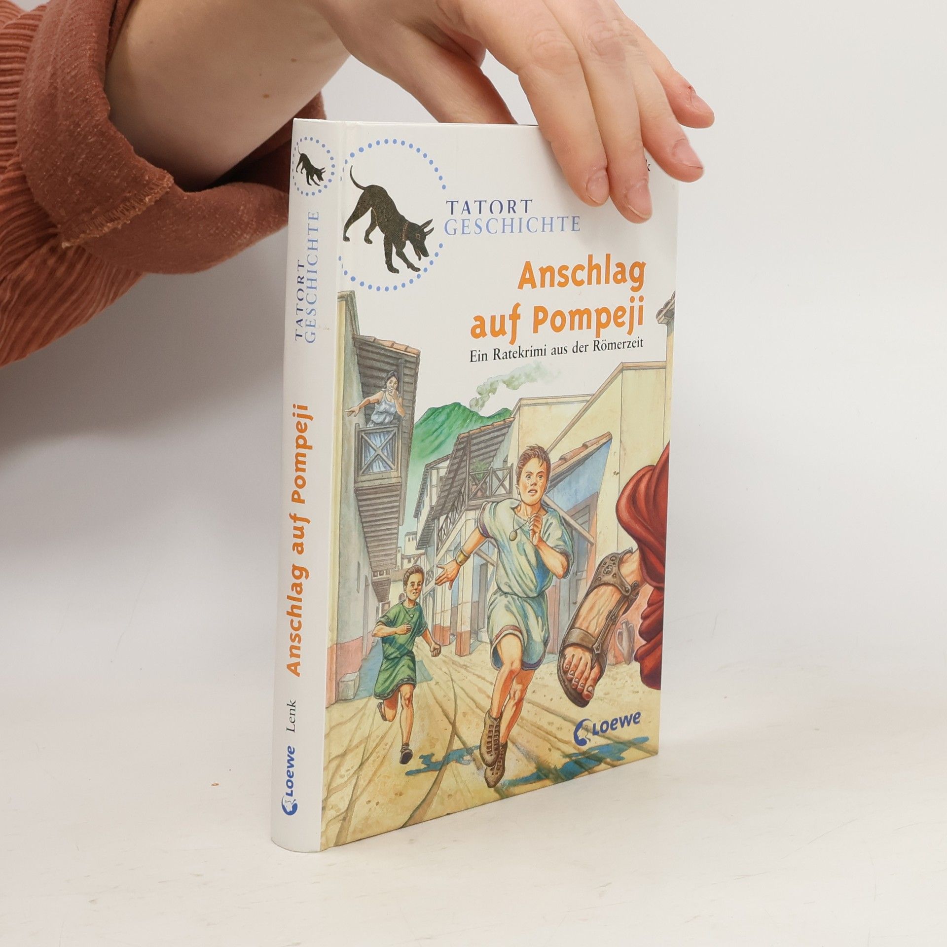 Fabian Lenk Anschlag auf Pompeji