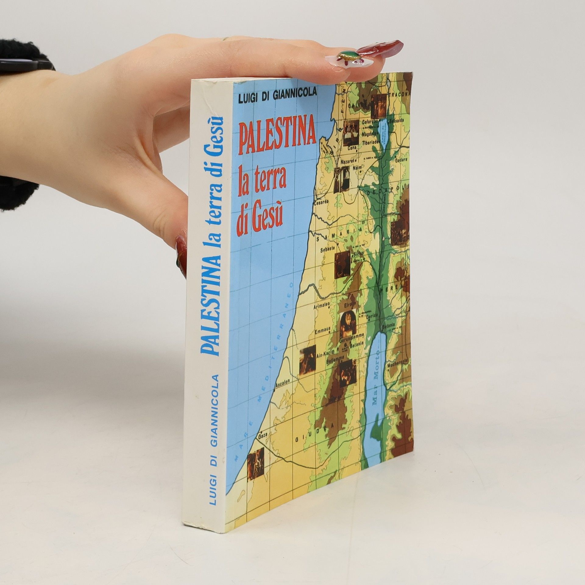 Luigi Di Giannicola Palestina