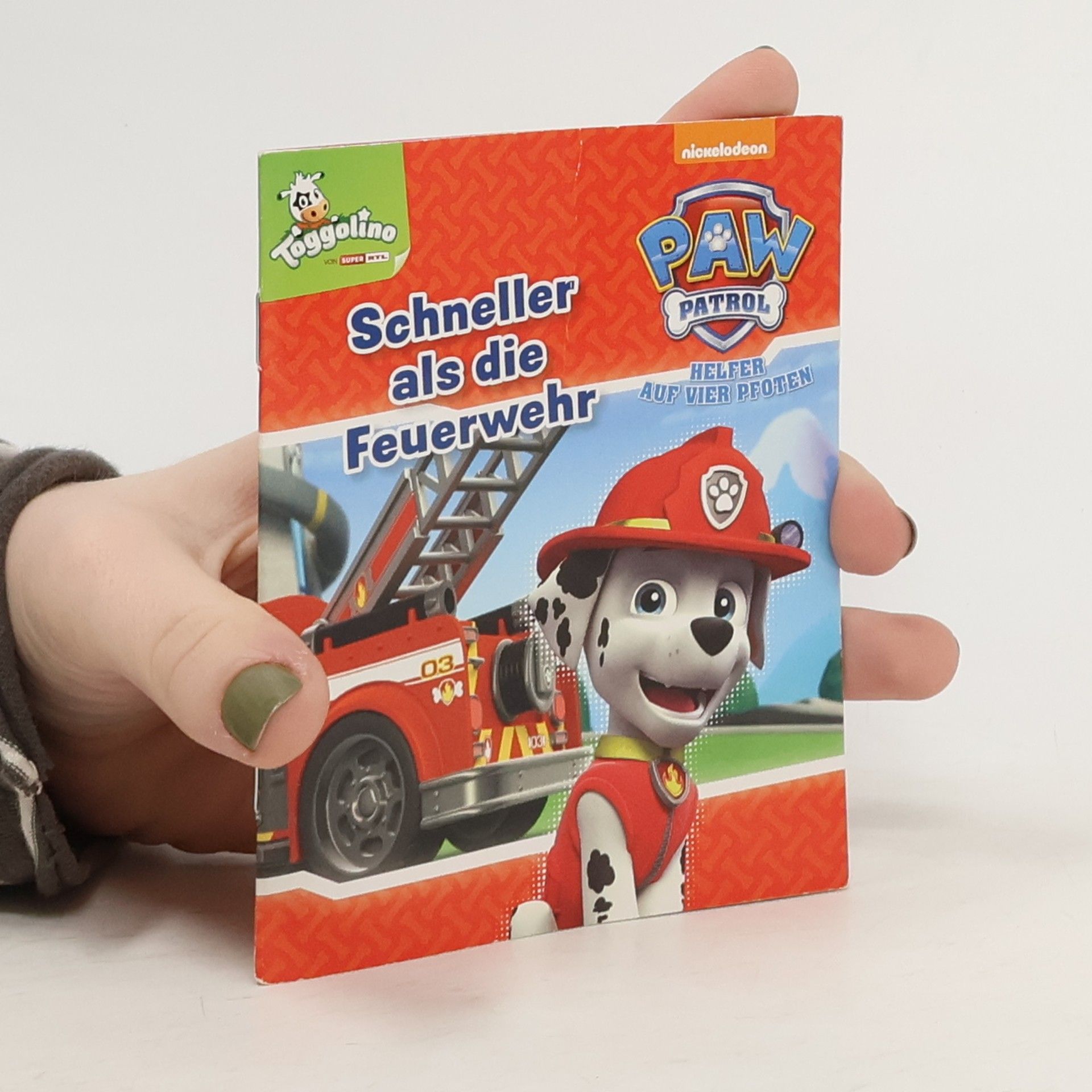 Autorenkollektiv Ryders Roboterhund