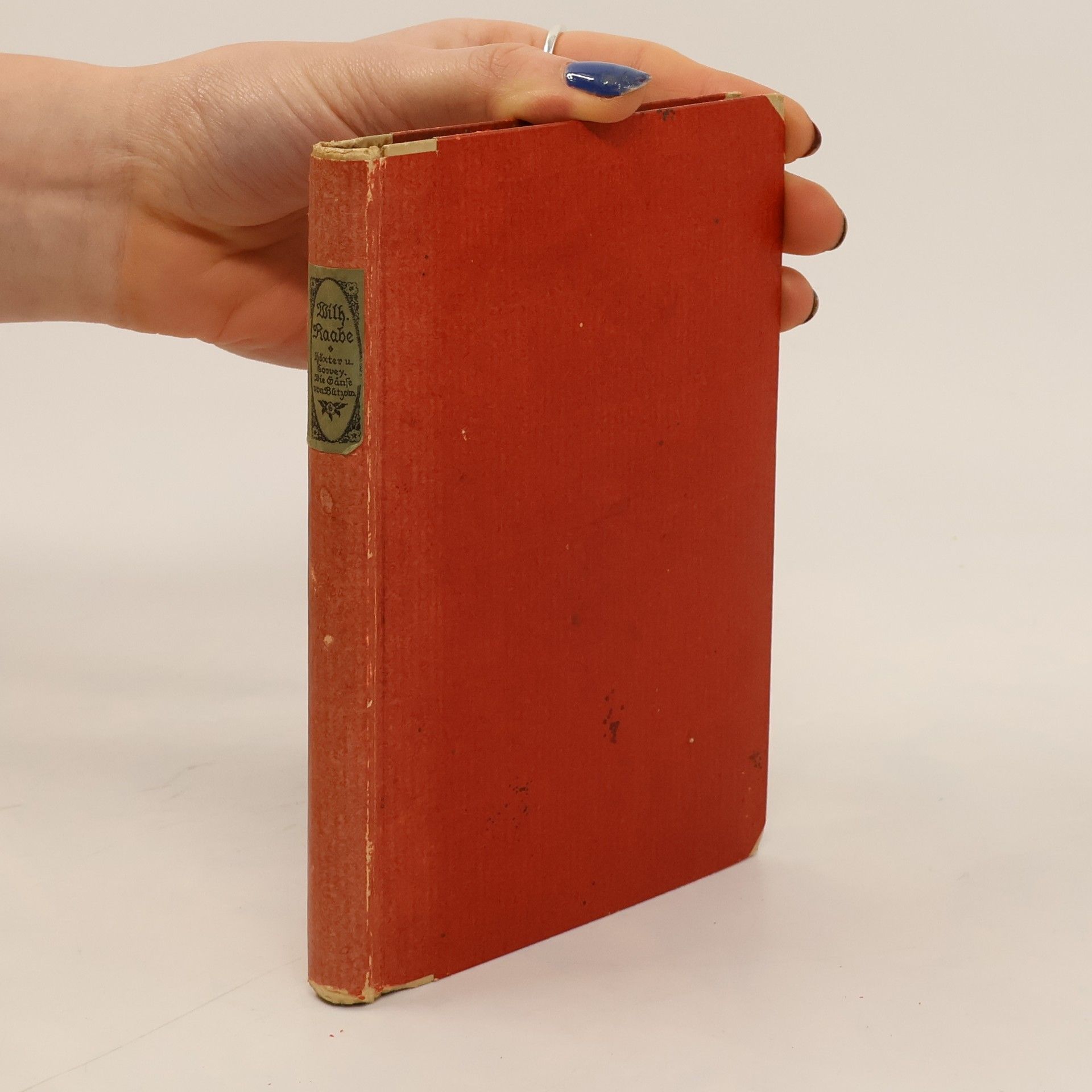 Wilhelm Raabe Hörter und Corvey. Die Gänse von Büzow