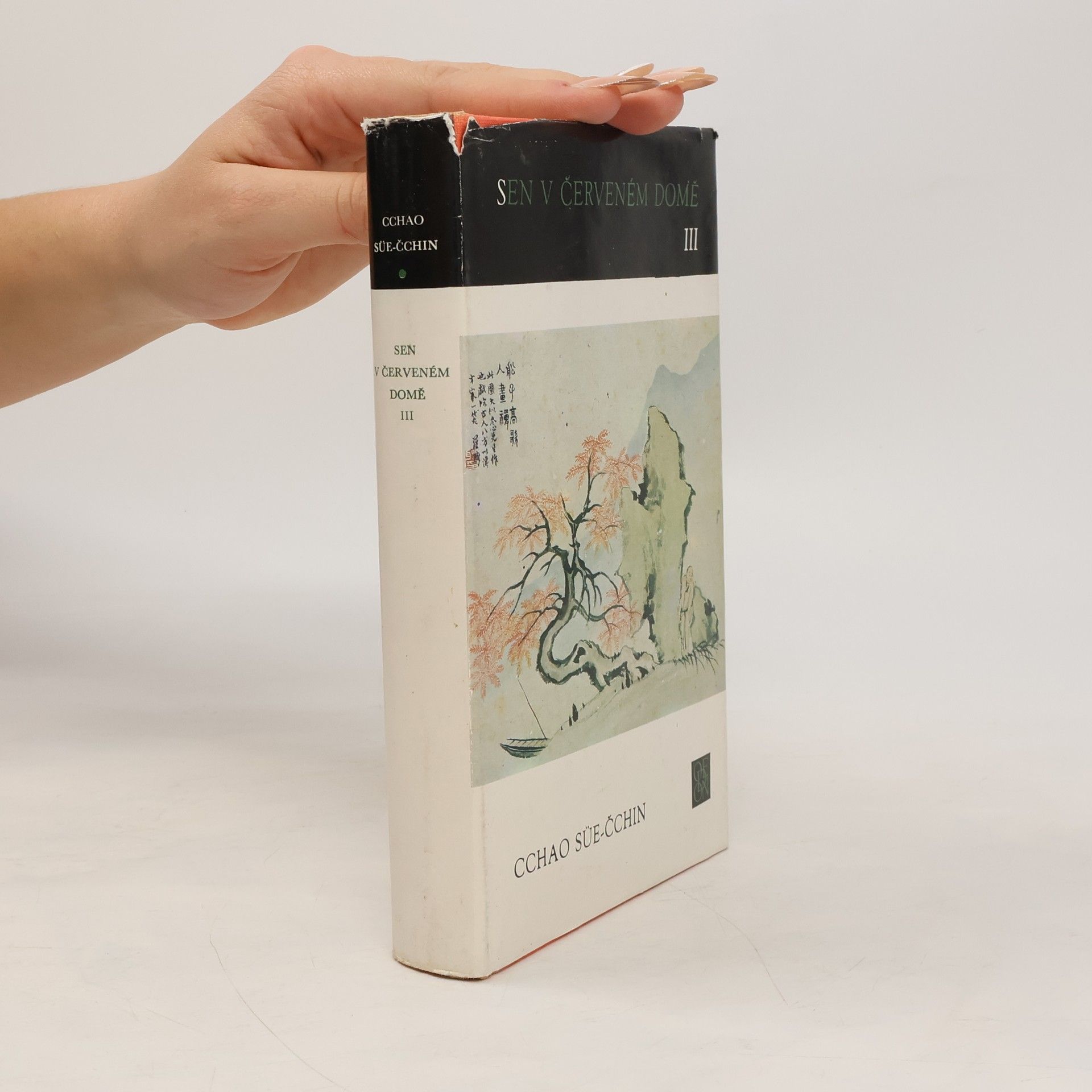 Sen v červeném domě III.