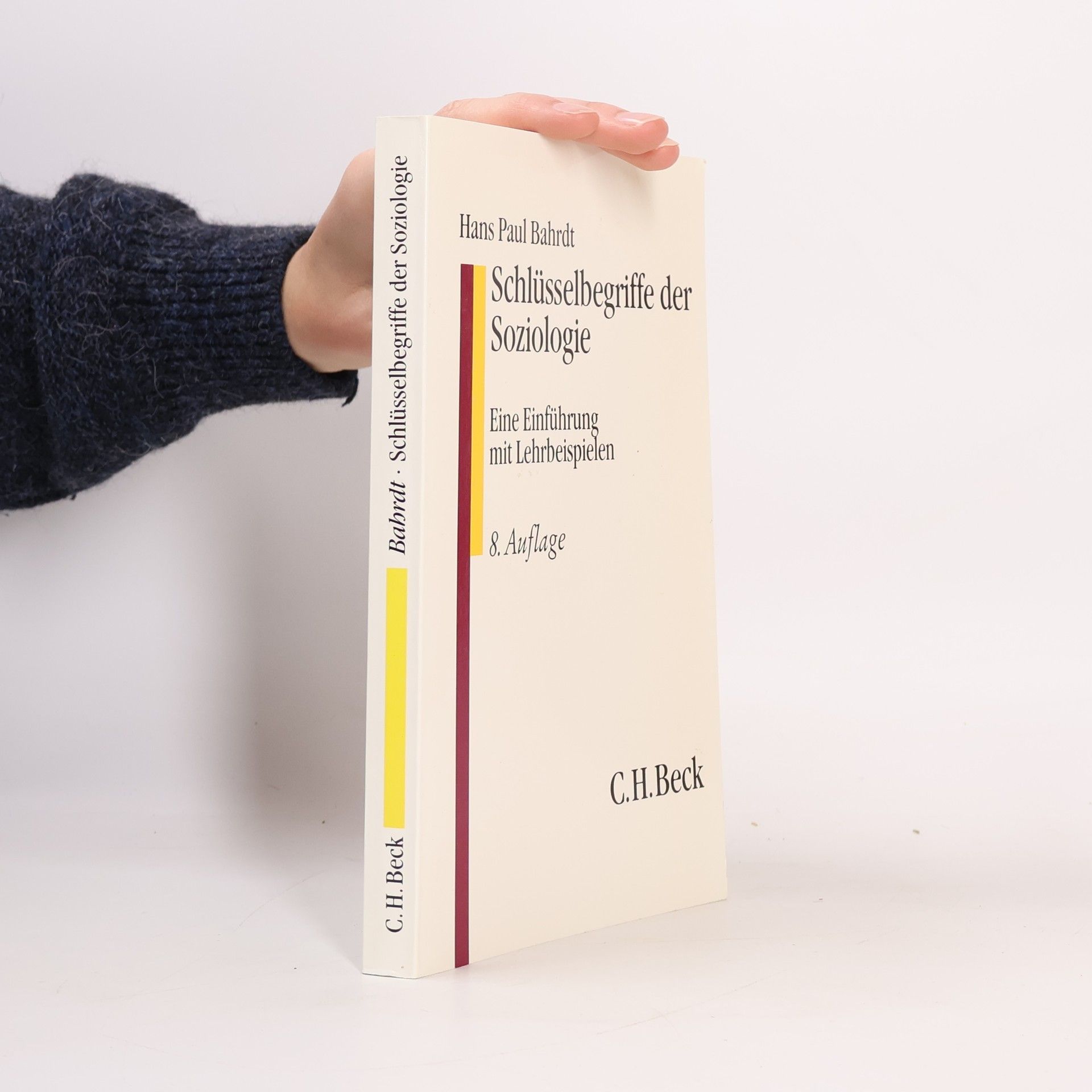 Schlüsselbegriffe der Soziologie