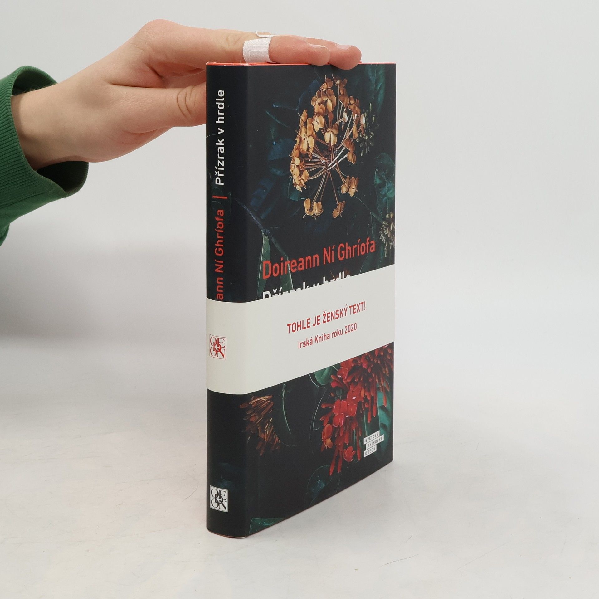 Doireann Ní Ghríofa Přízrak v hrdle