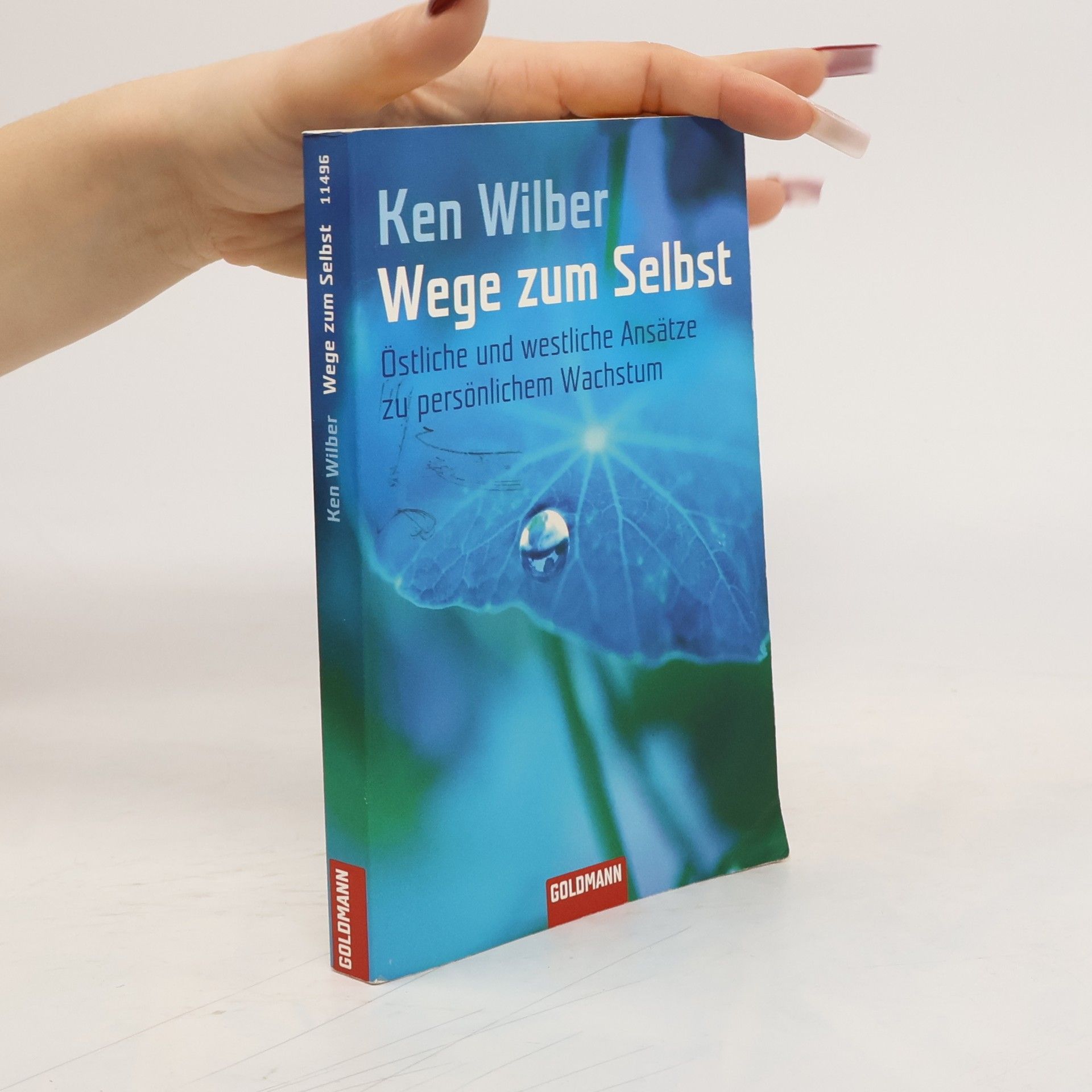Ken Wilber Wege zum Selbst