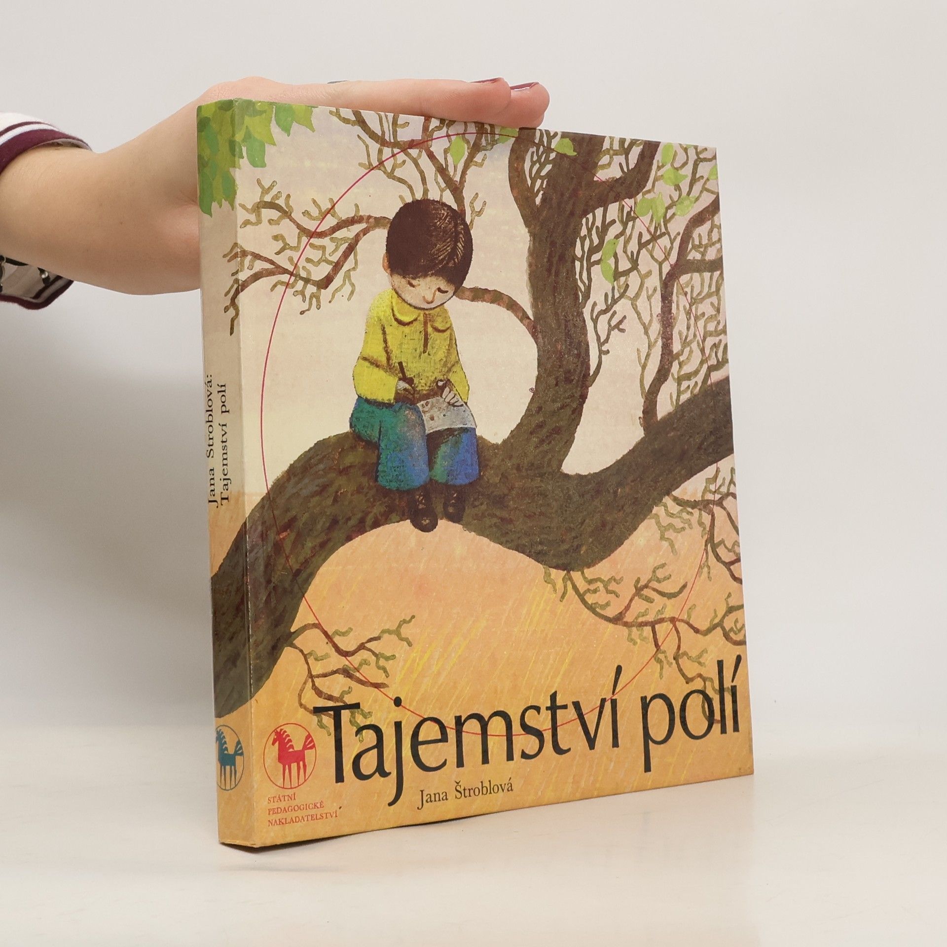 Štroblová Jana Tajemství polí