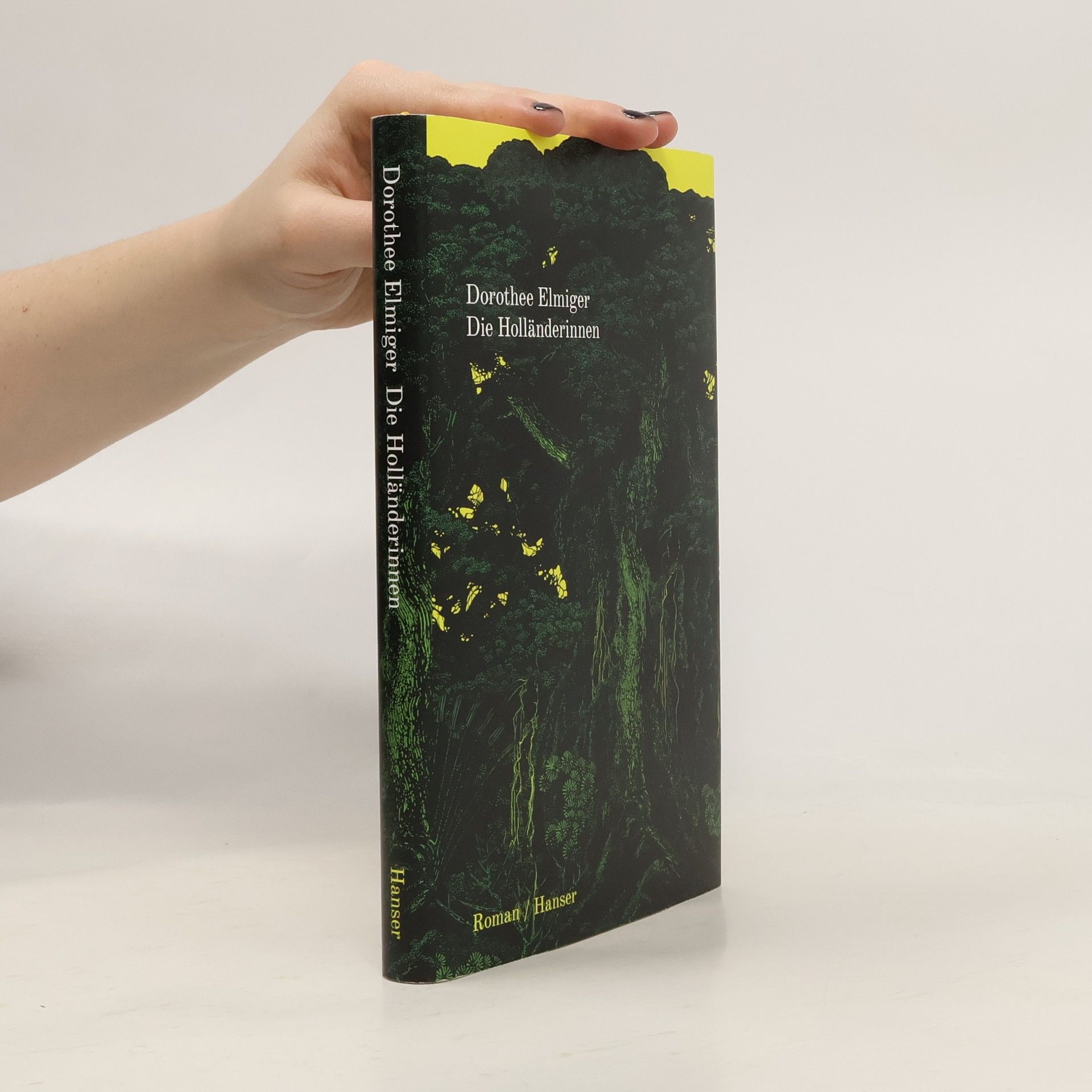 Dorothee Elmiger Die Holländerinnen