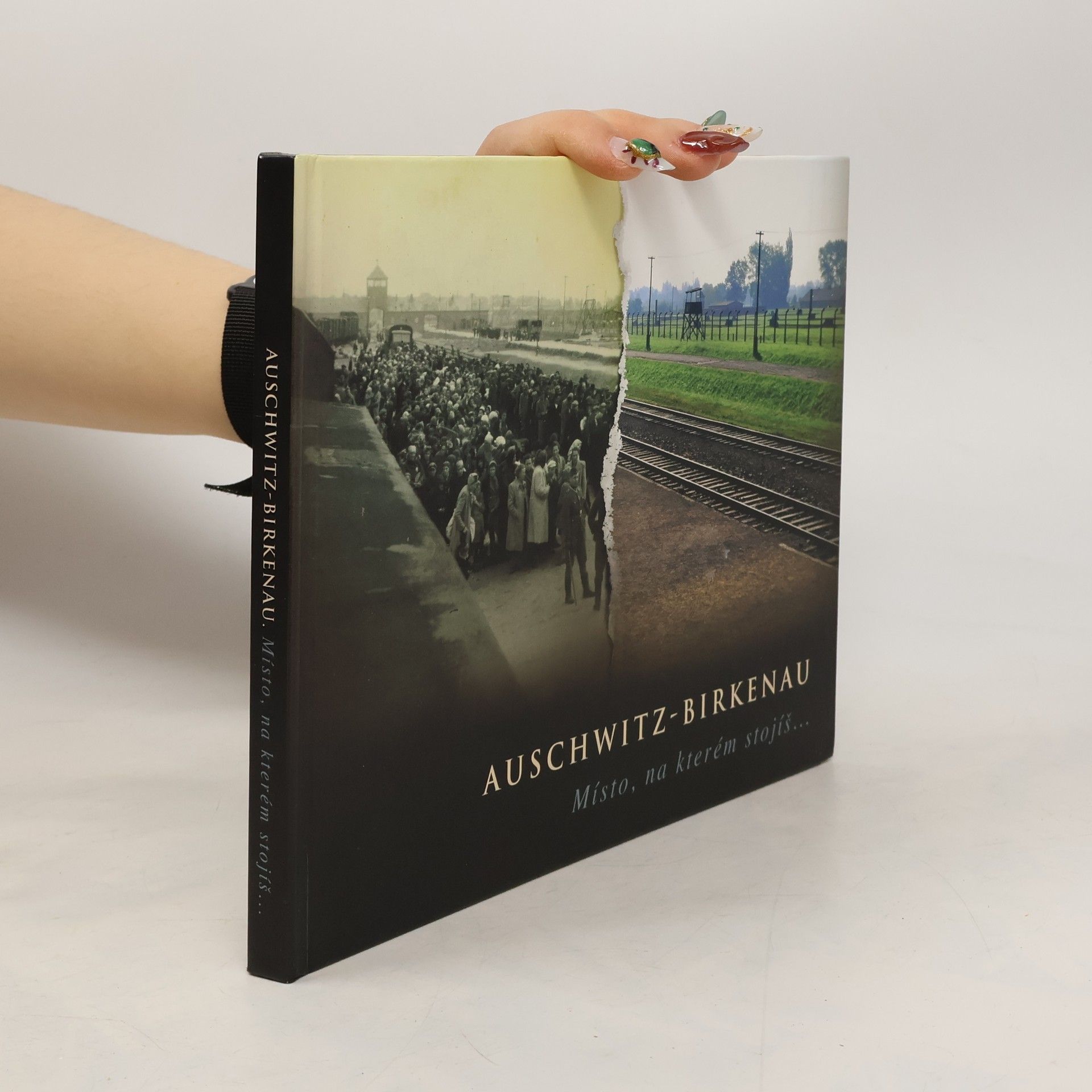 Kolektiv autorů Auschwitz-Birkenau : místo, na kterém stojíš...