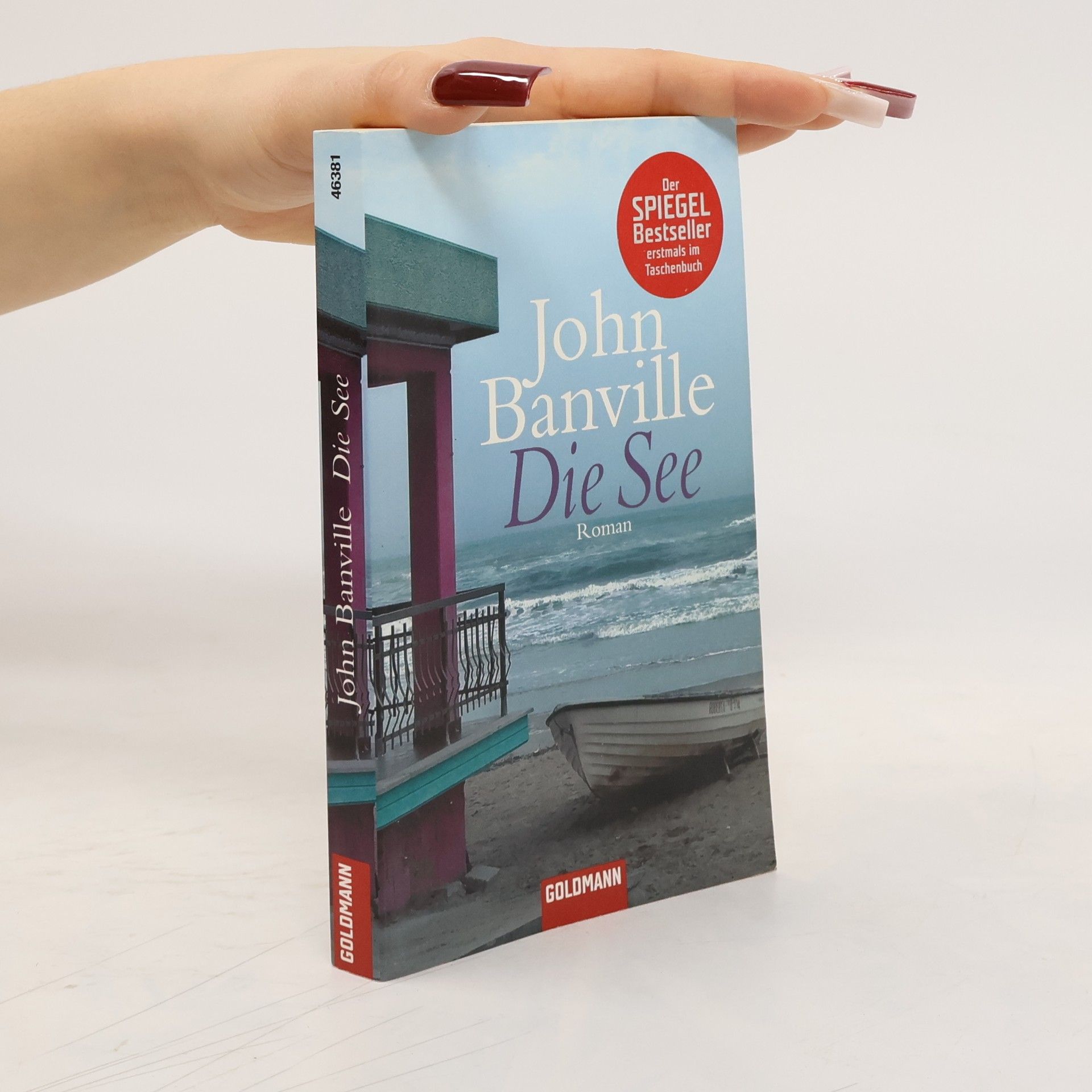 John Banville Die See