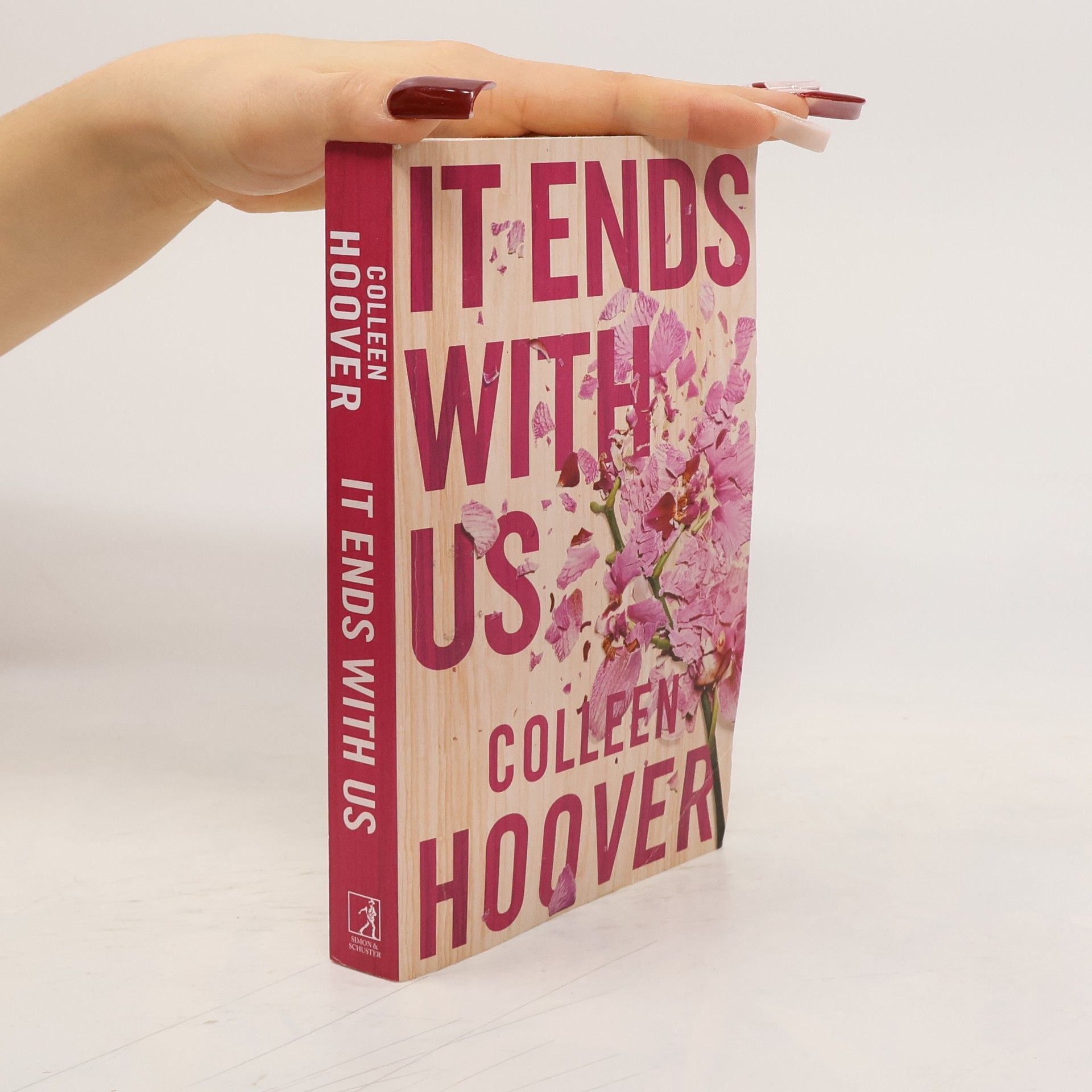 Colleen Hoover It Ends With Us